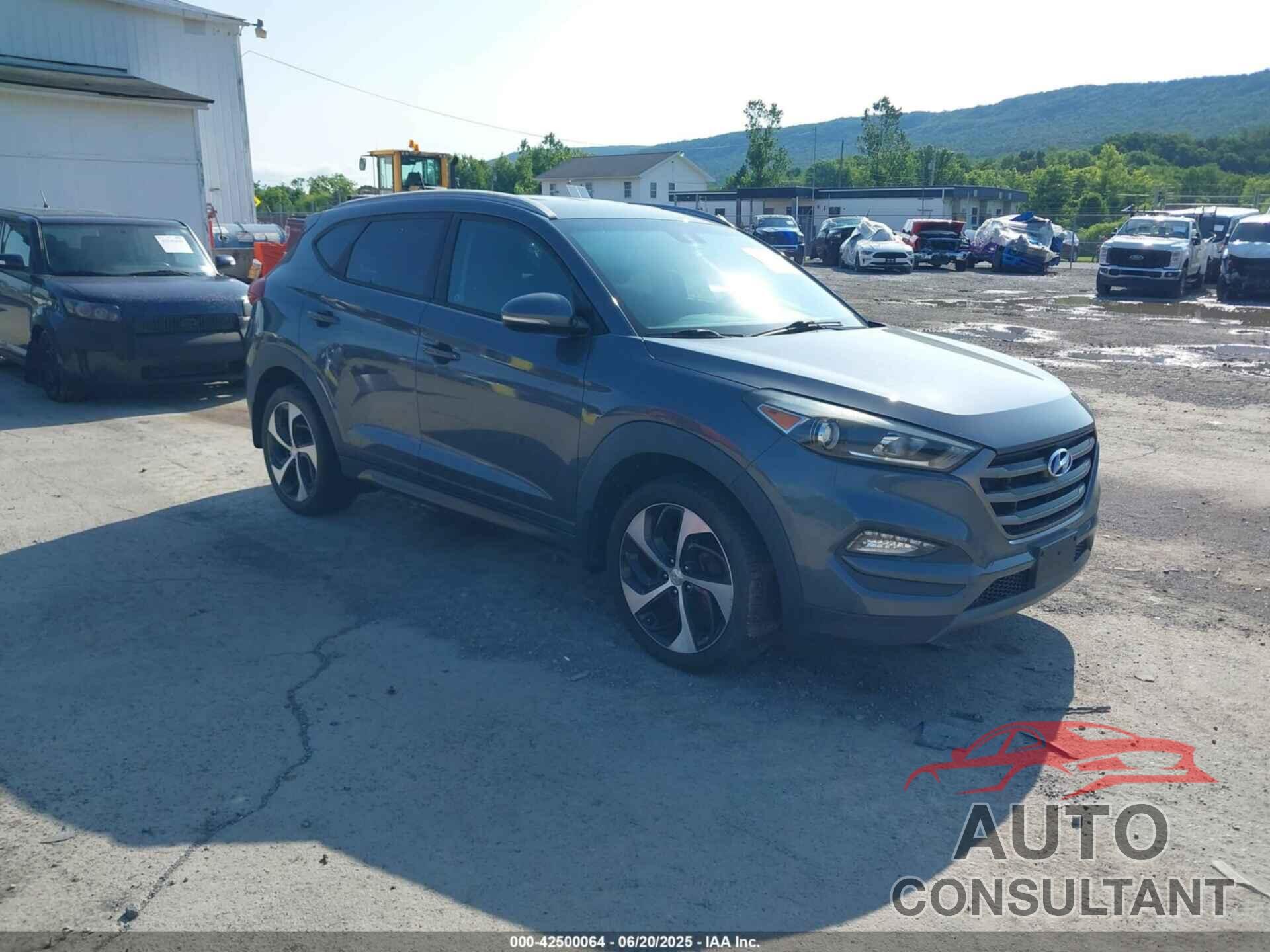 HYUNDAI TUCSON 2016 - KM8J3CA28GU023182