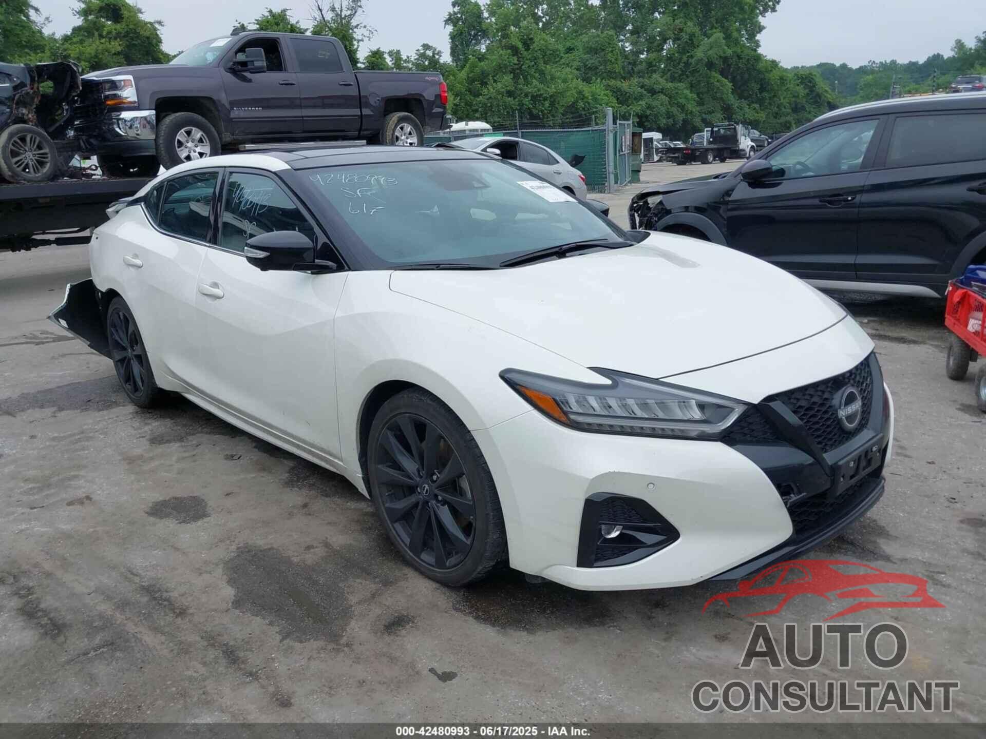 NISSAN MAXIMA 2023 - 1N4AA6EV1PC506038
