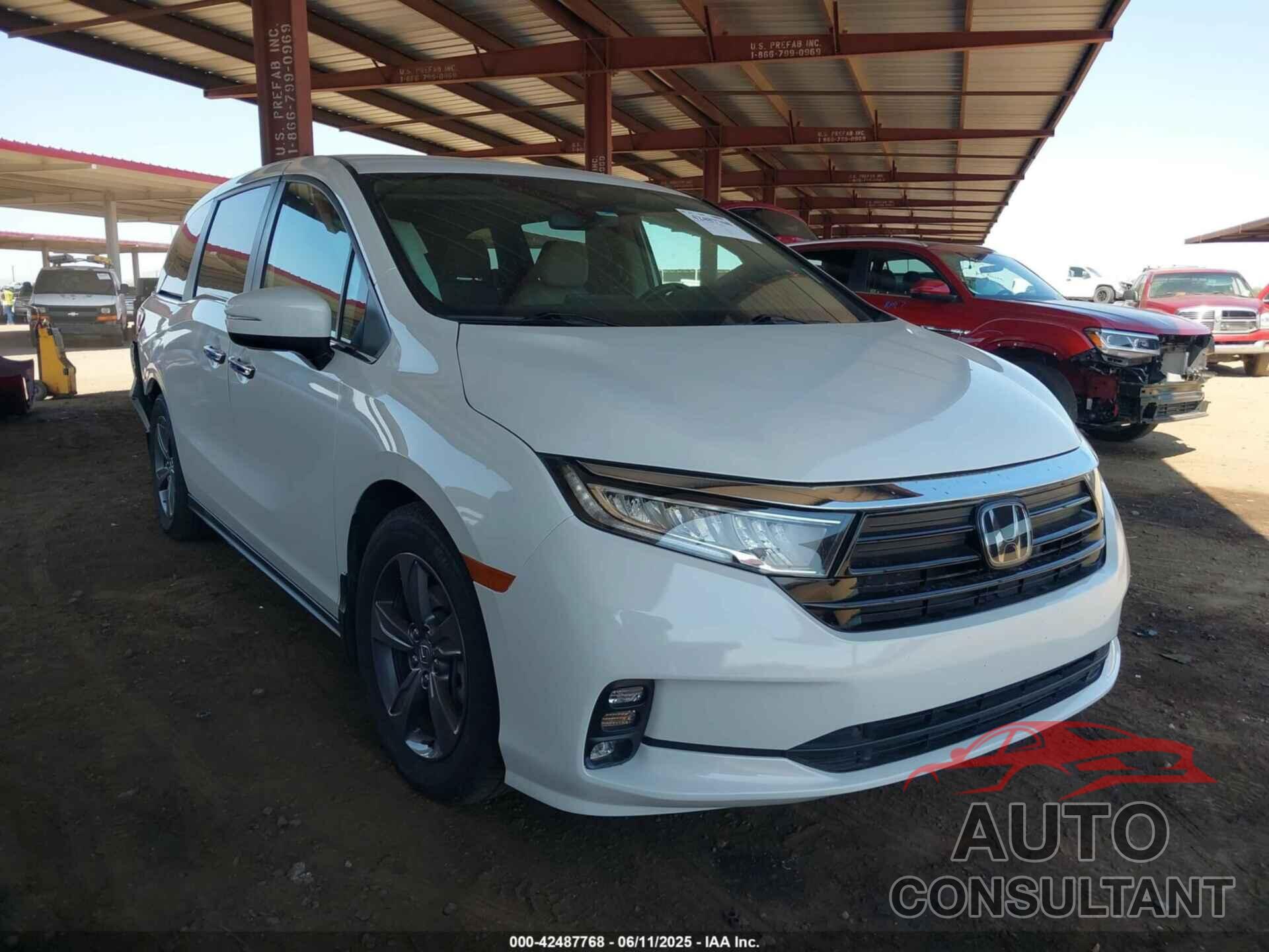 HONDA ODYSSEY 2022 - 5FNRL6H59NB045593