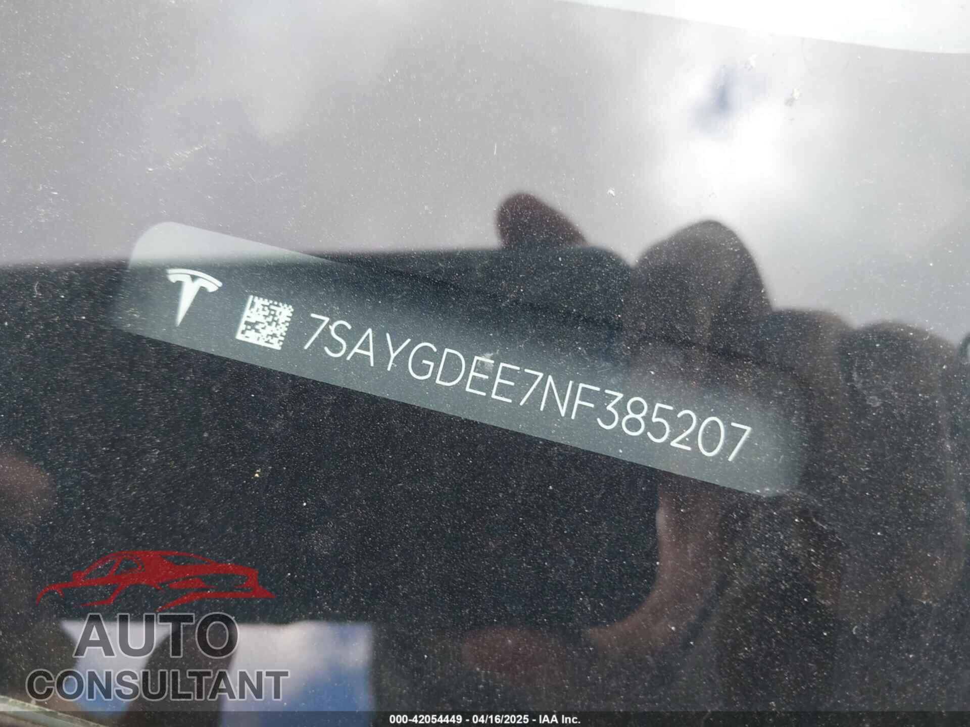 TESLA MODEL Y 2022 - 7SAYGDEE7NF385207
