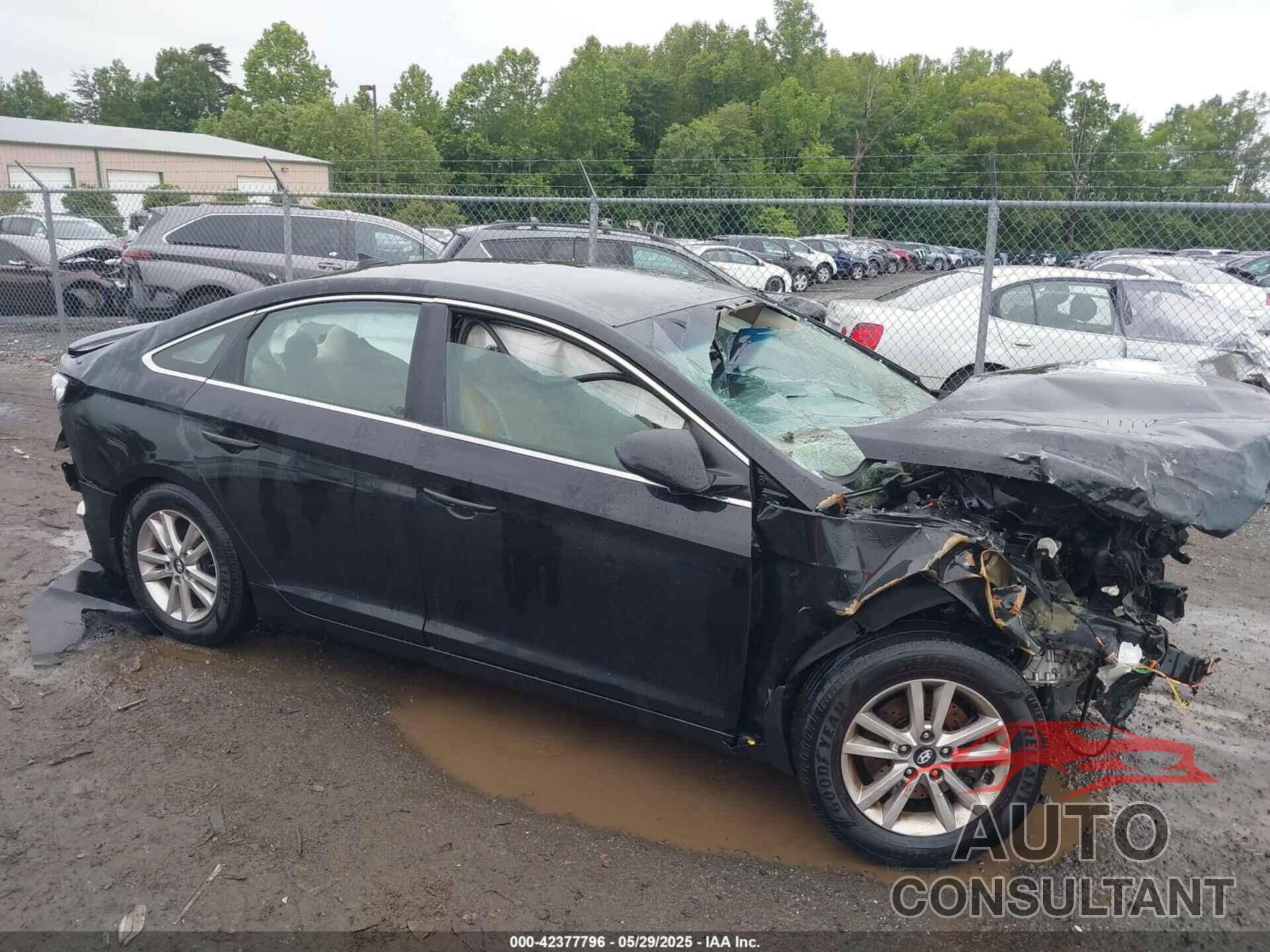 HYUNDAI SONATA 2016 - 5NPE24AF5GH296494