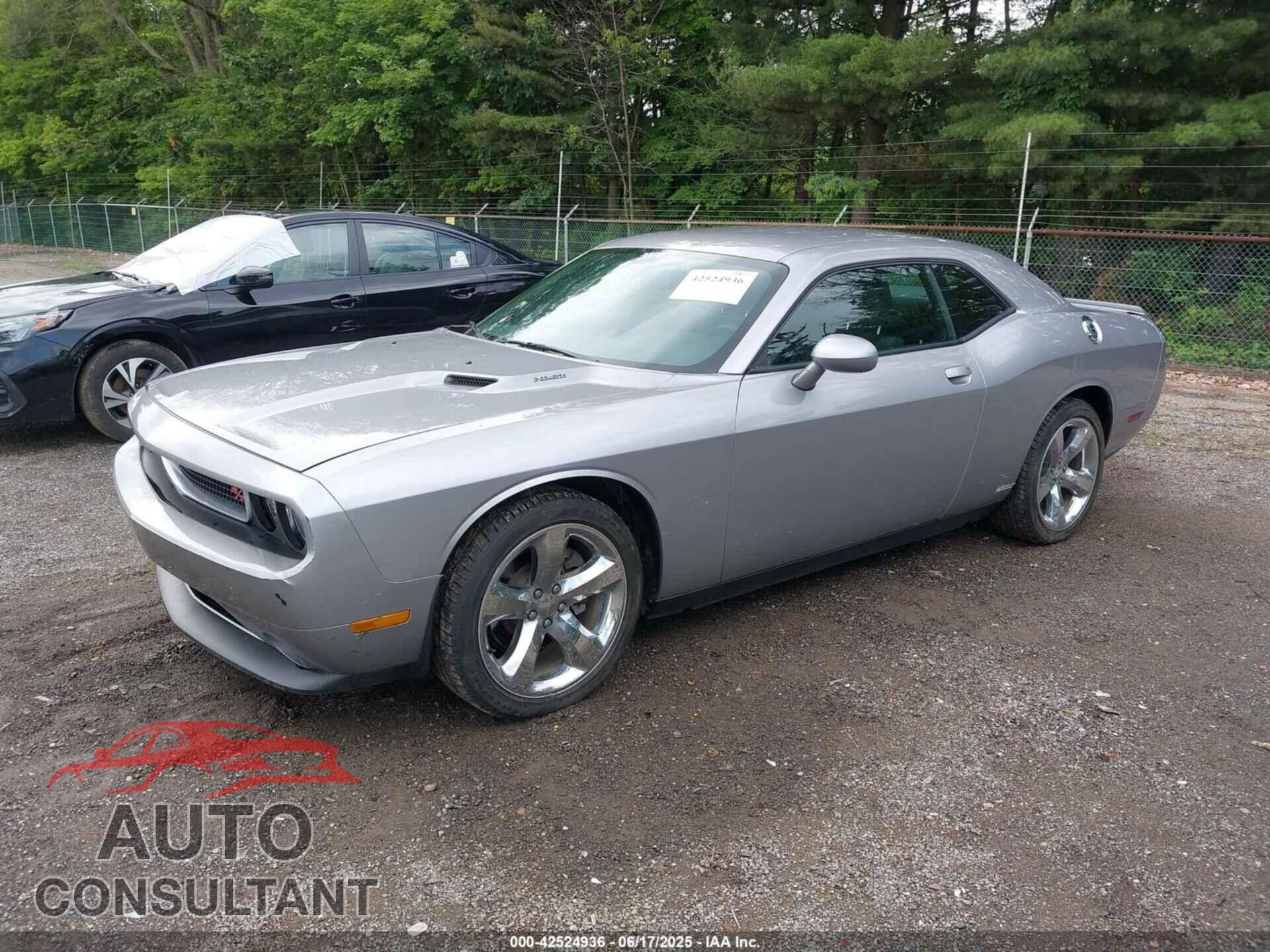 DODGE CHALLENGER 2013 - 2C3CDYBT3DH695202