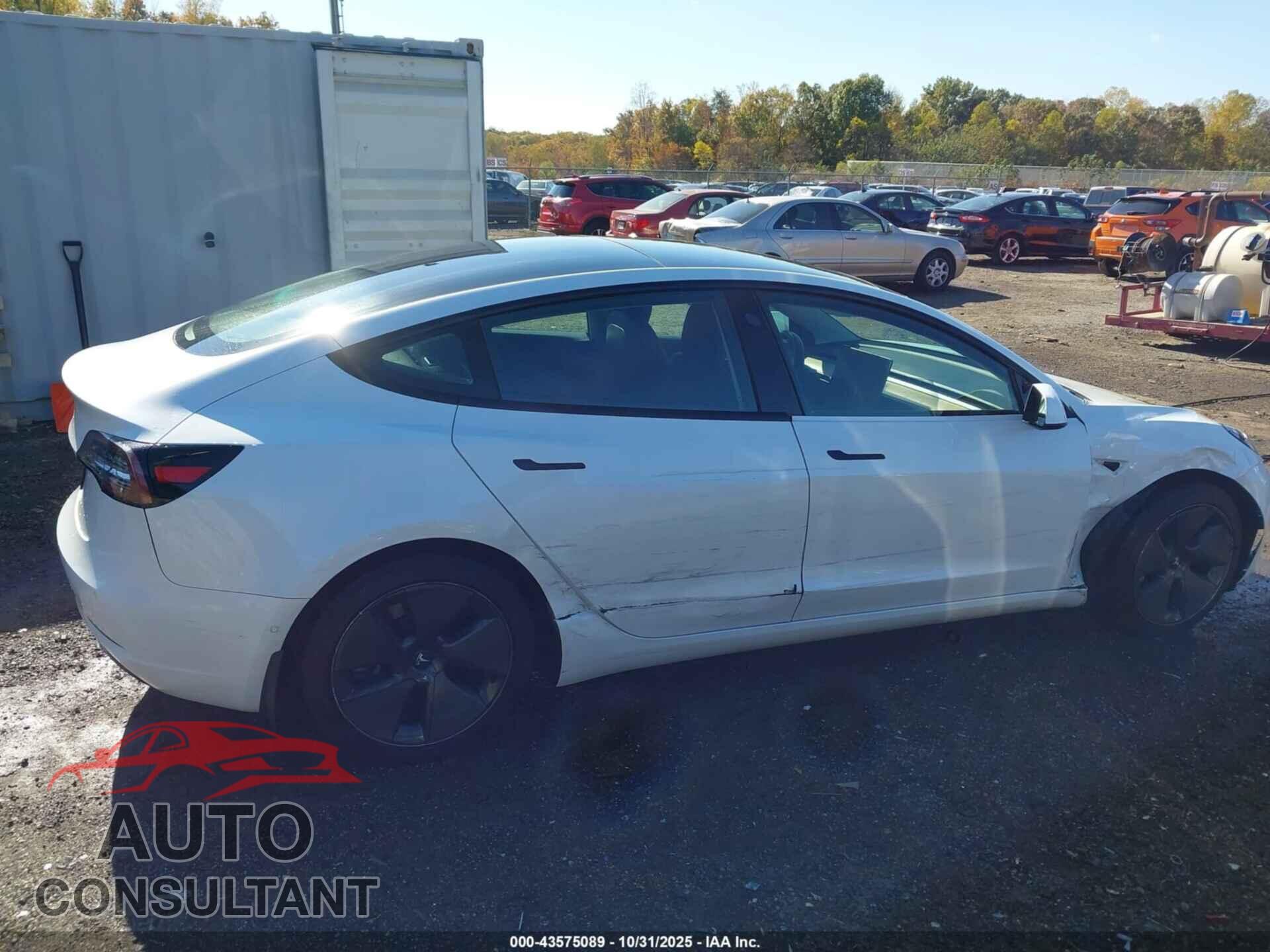 TESLA MODEL 3 2021 - 5YJ3E1EA2MF046412