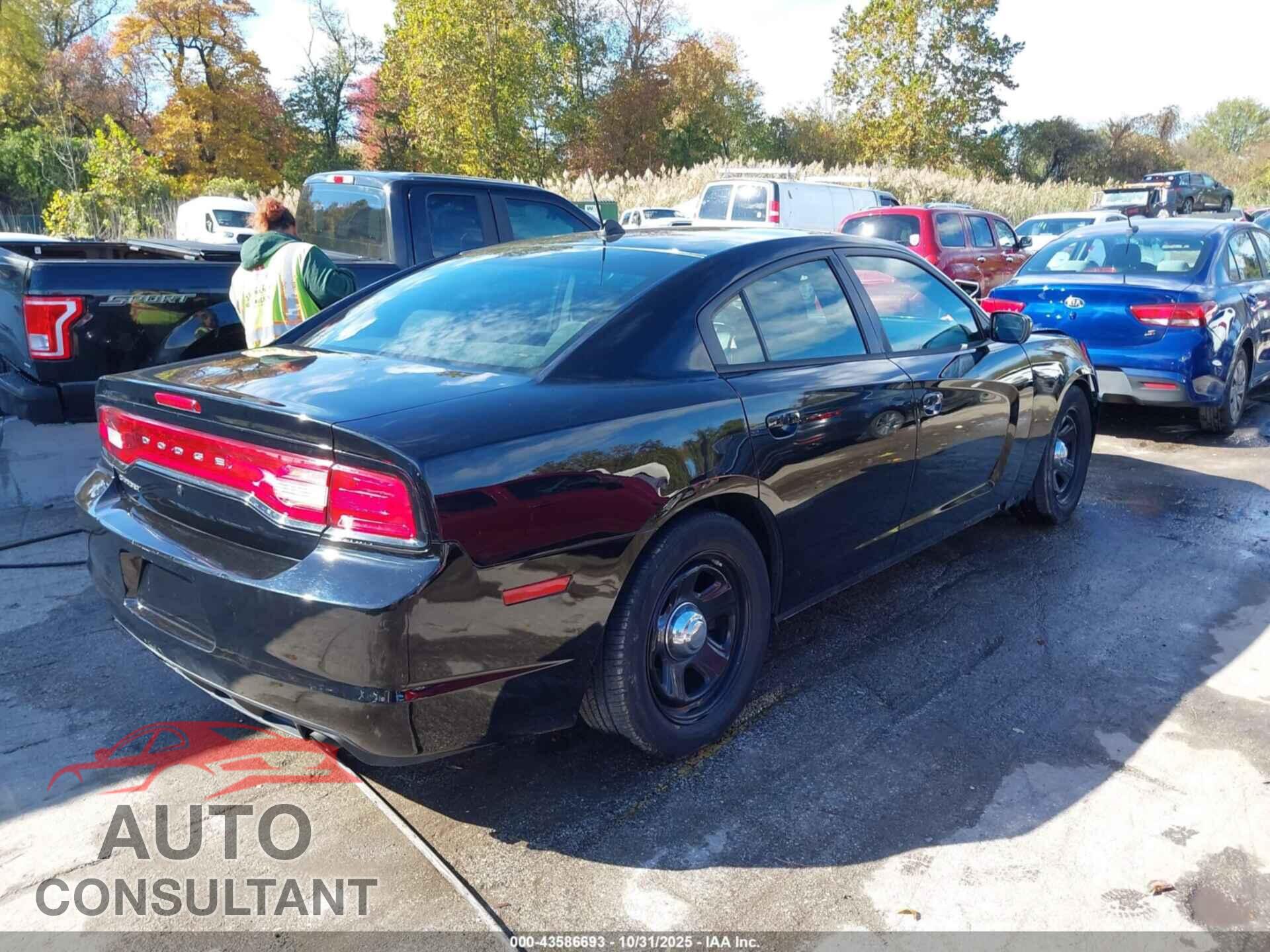 DODGE CHARGER 2014 - 2C3CDXAT2EH172007