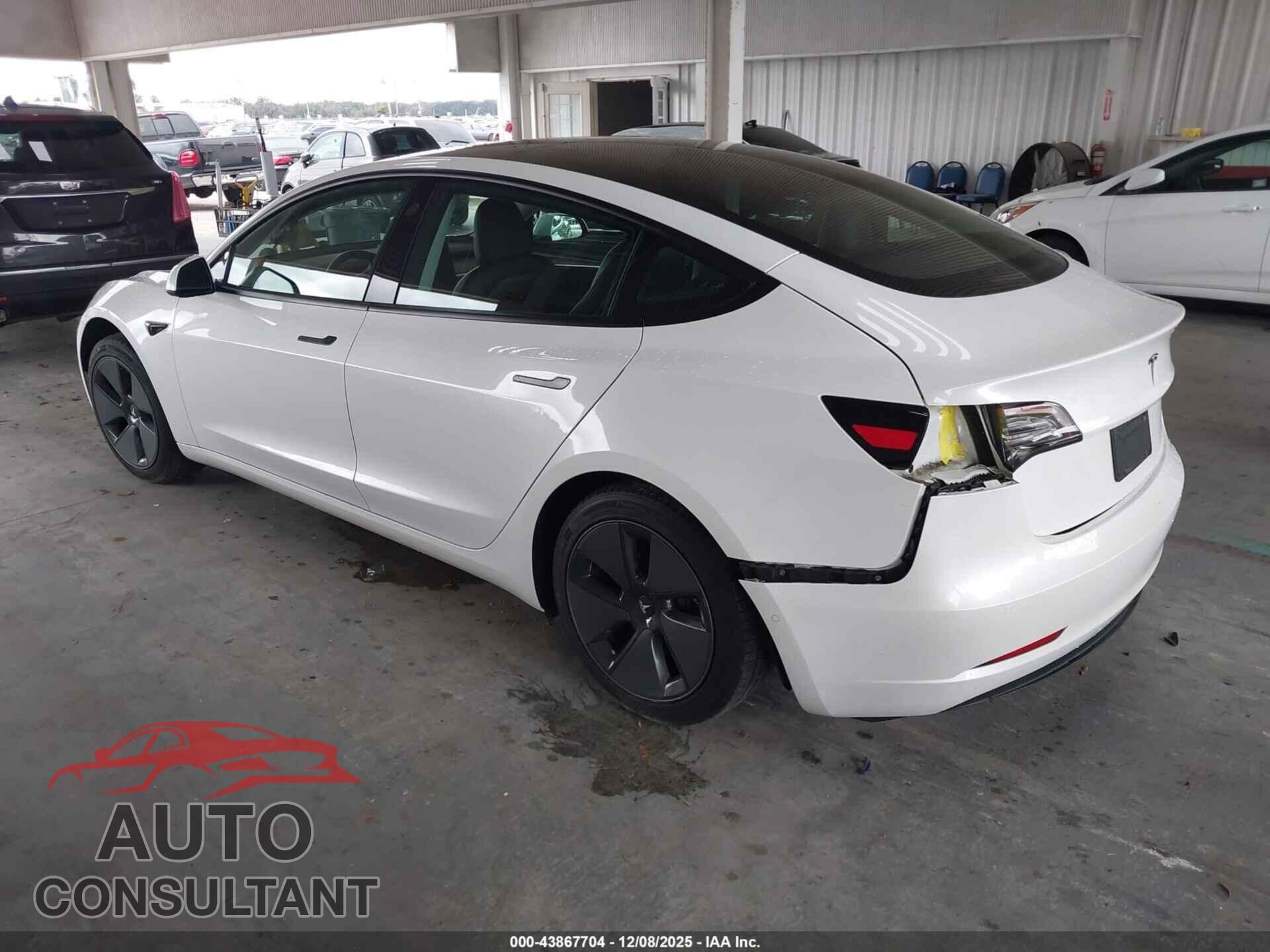TESLA MODEL 3 2021 - 5YJ3E1EA1MF977497