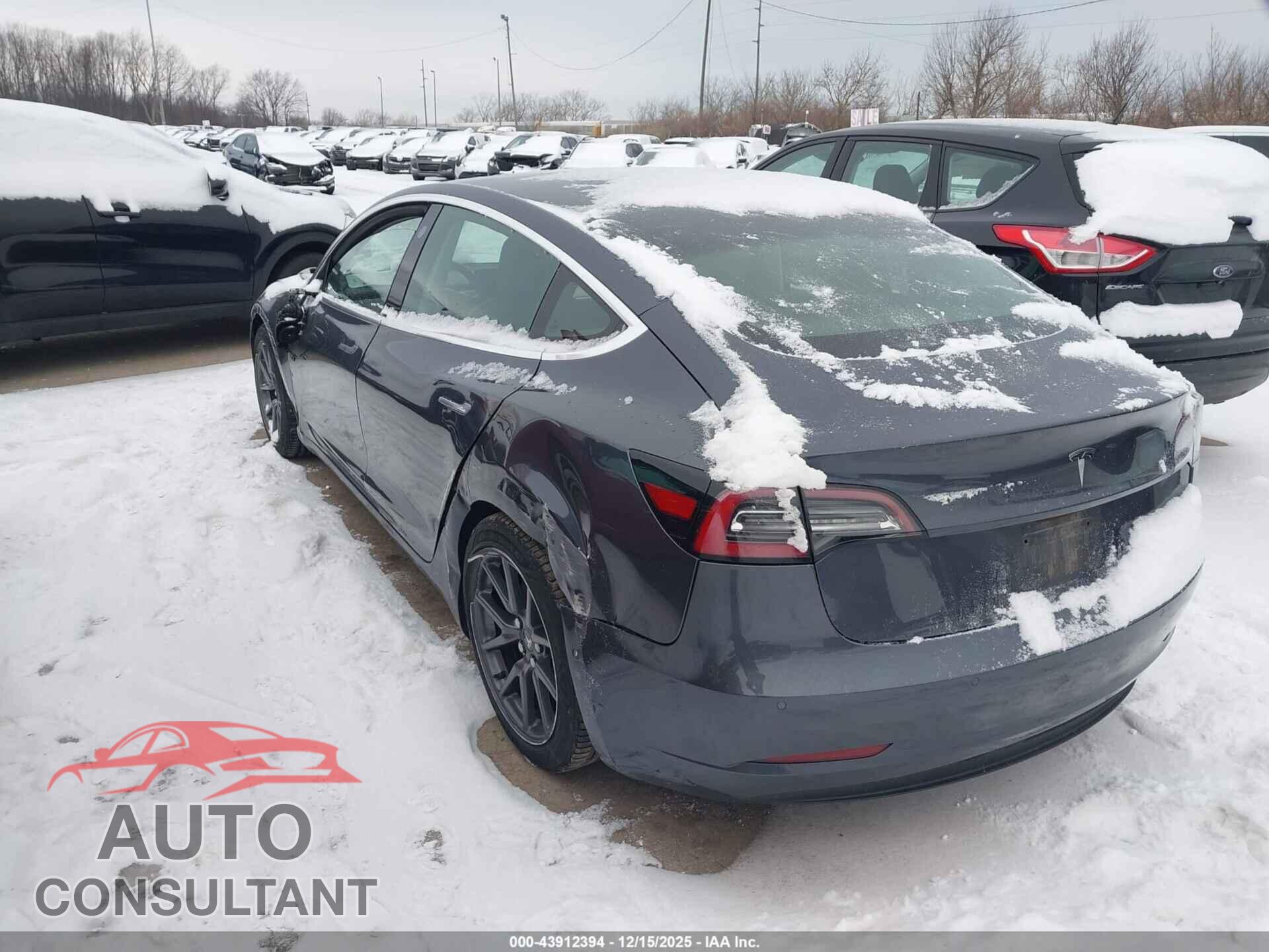 TESLA MODEL 3 2019 - 5YJ3E1EA2KF307647
