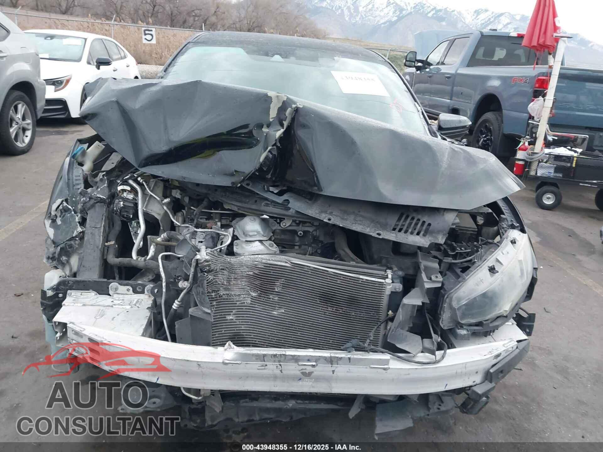 HONDA CIVIC 2019 - 2HGFC2F64KH536538