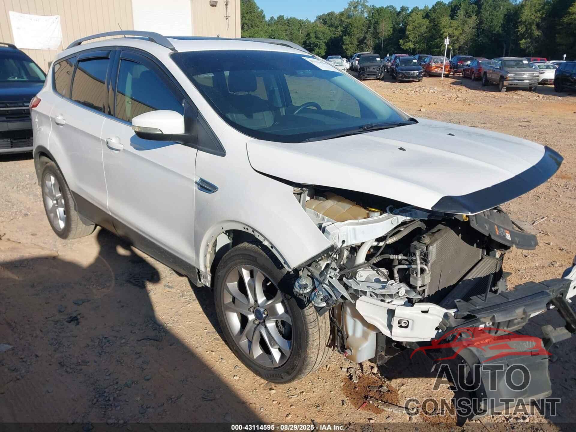 FORD ESCAPE 2016 - 1FMCU0J95GUC50248