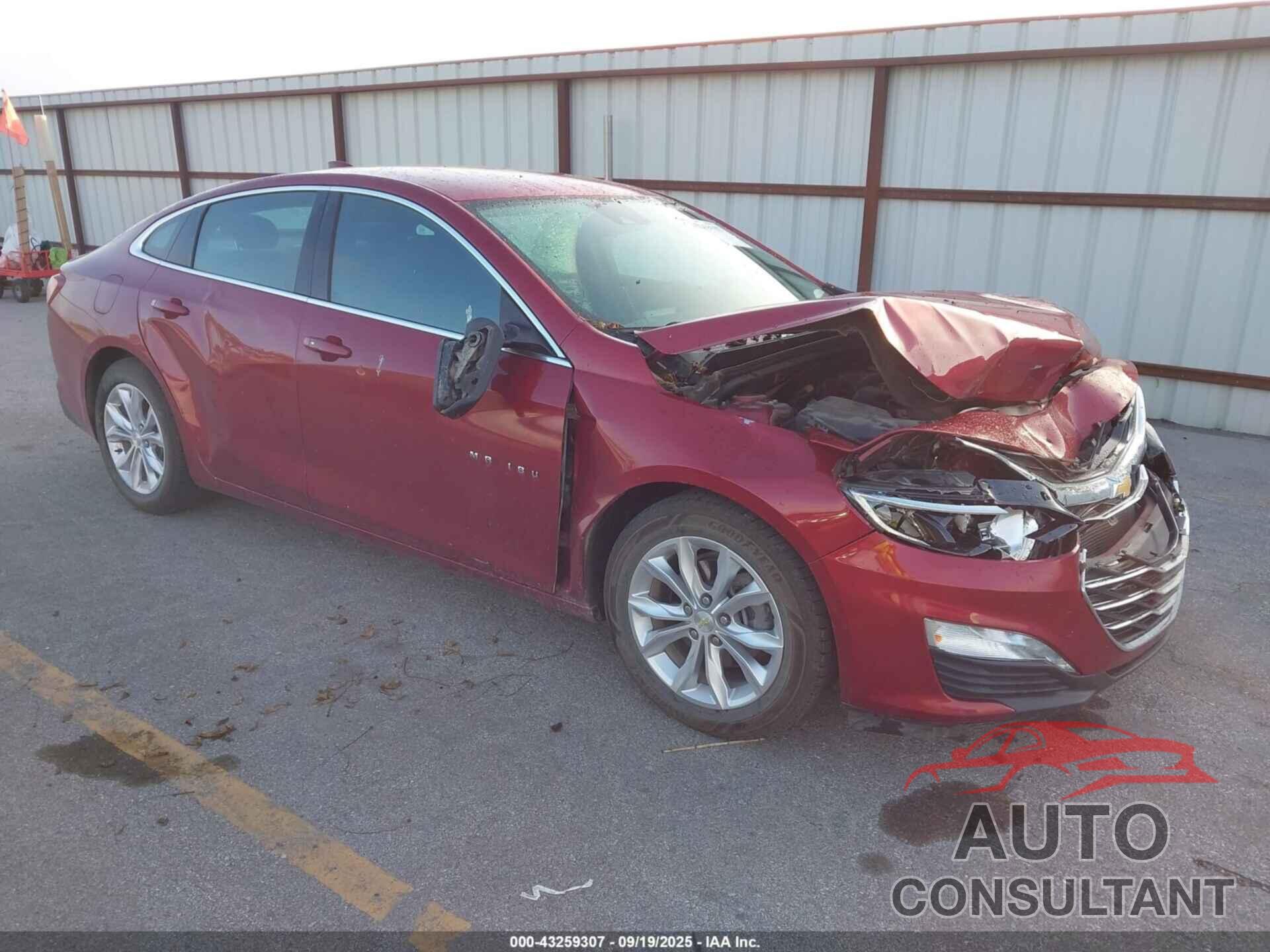 CHEVROLET MALIBU 2019 - 1G1ZD5STXKF122499