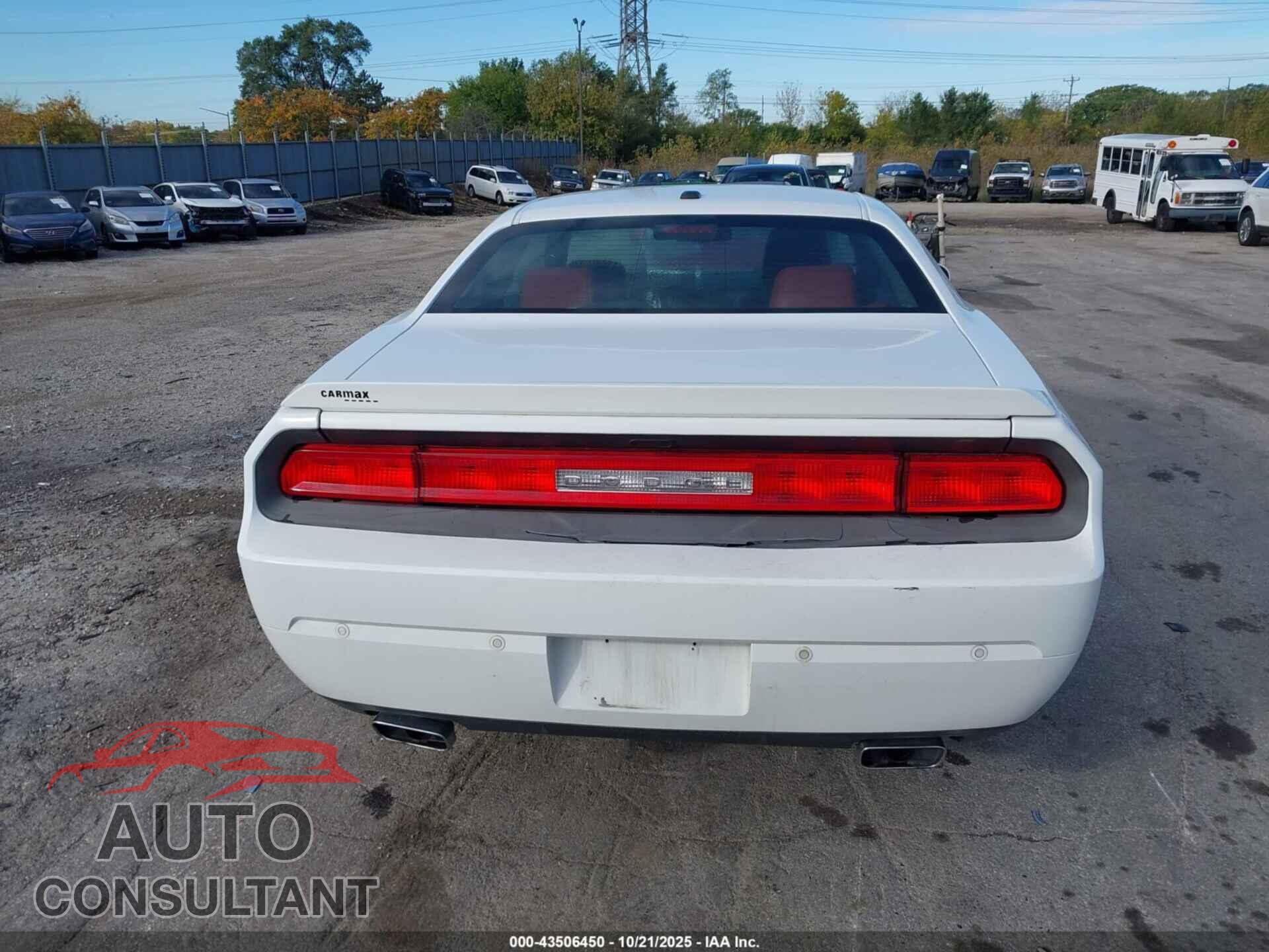 DODGE CHALLENGER 2013 - 2C3CDYBTXDH531266
