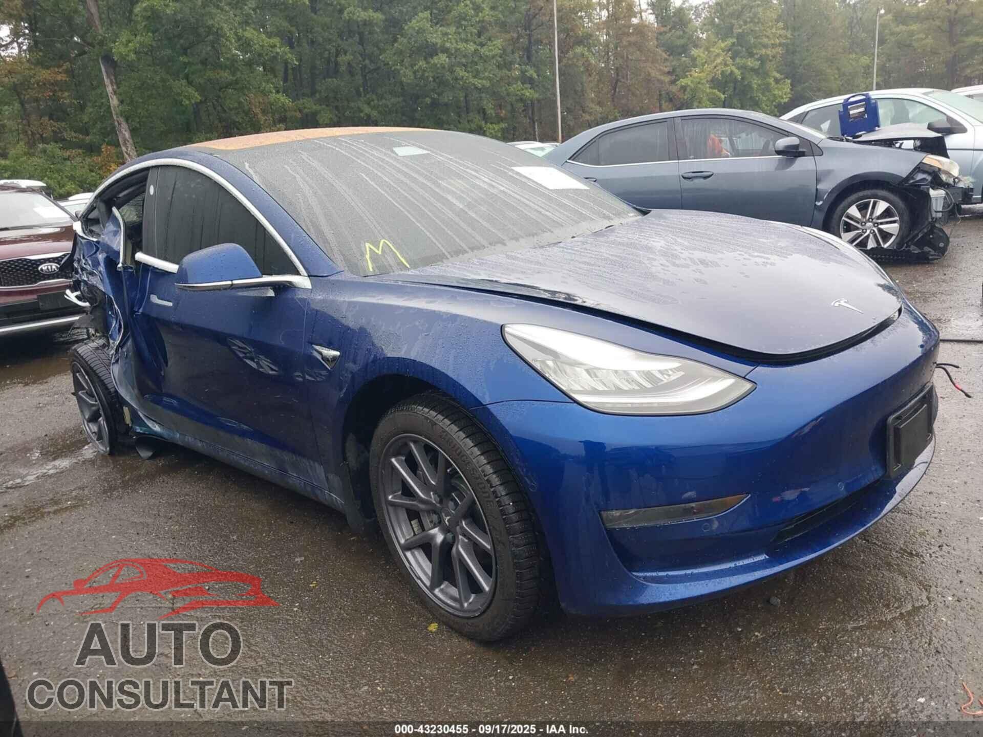 TESLA MODEL 3 2019 - 5YJ3E1EA0KF309137
