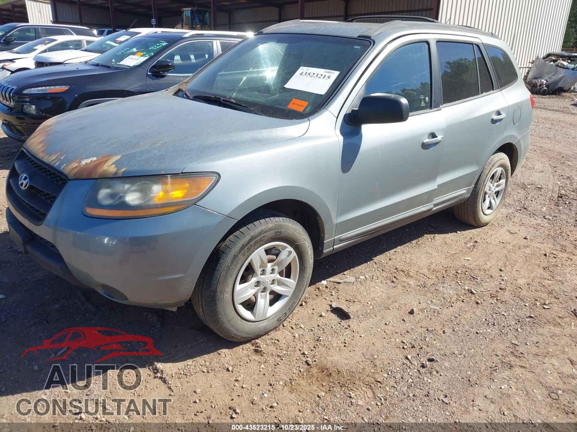 HYUNDAI SANTA FE 2009 - 5NMSG13D19H329568