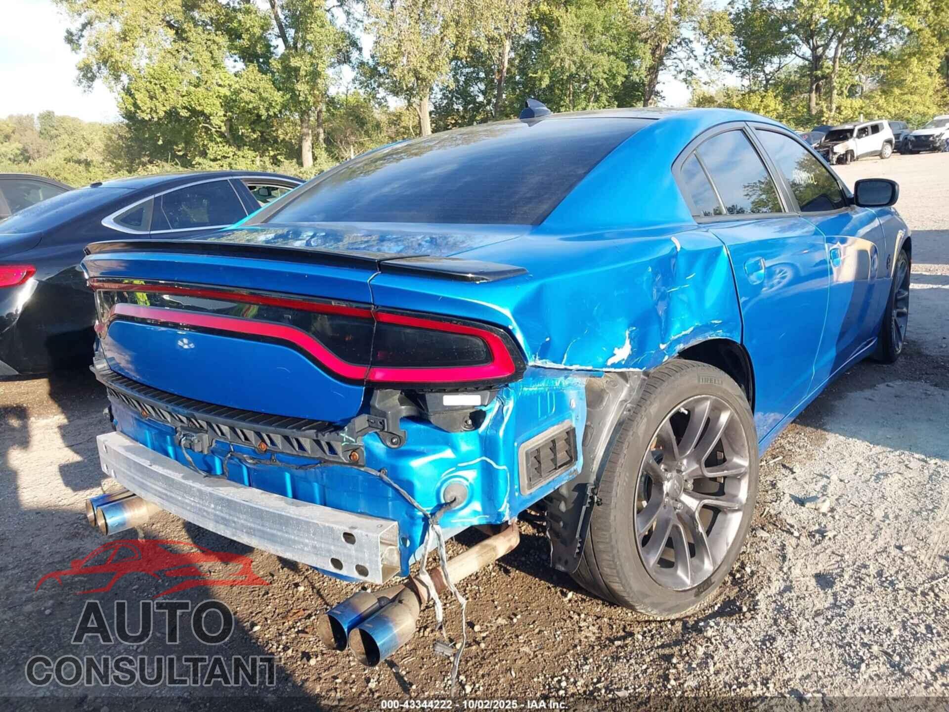 DODGE CHARGER 2015 - 2C3CDXCT2FH907342