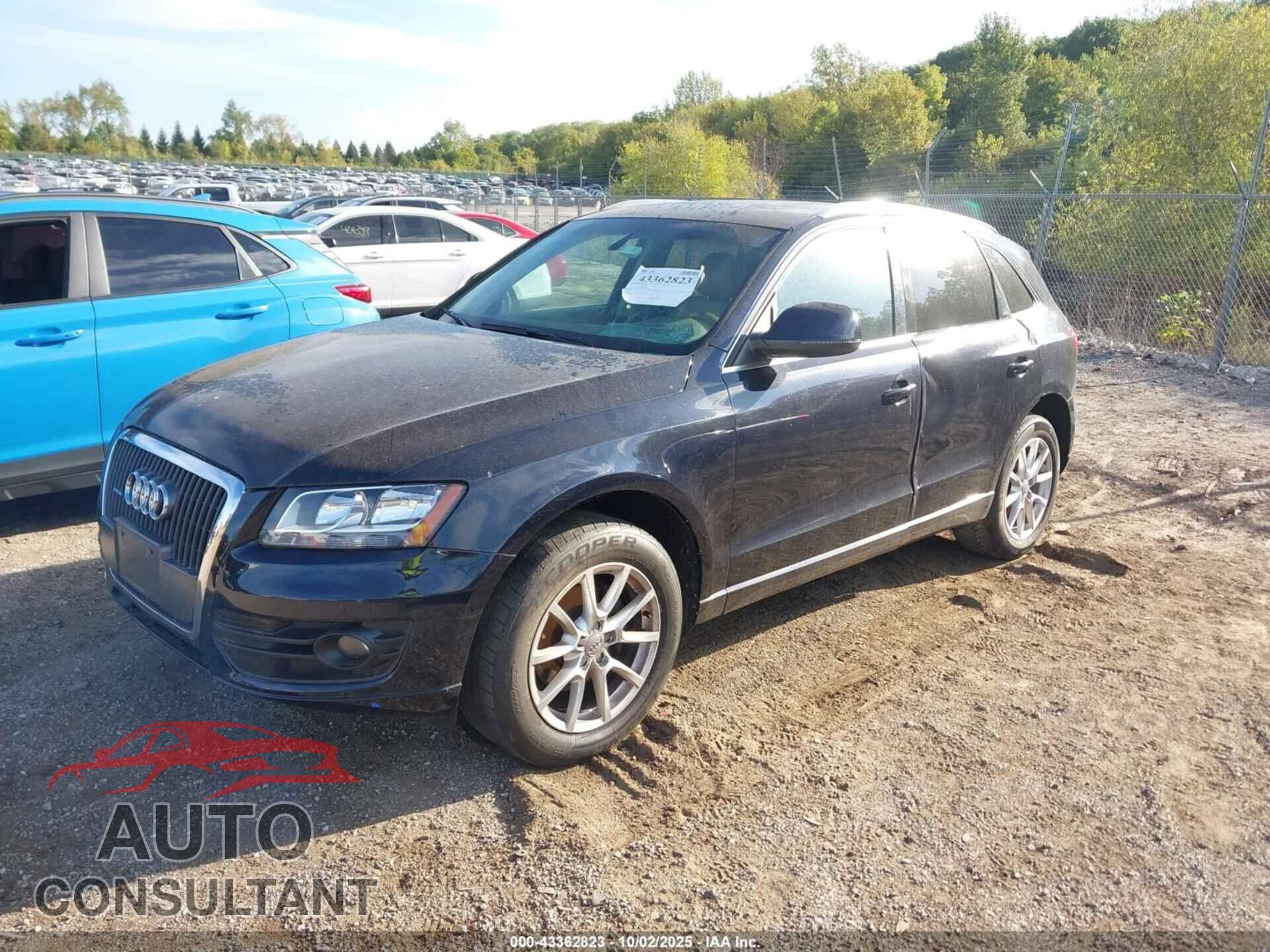 AUDI Q5 2011 - WA1CFAFP8BA011146