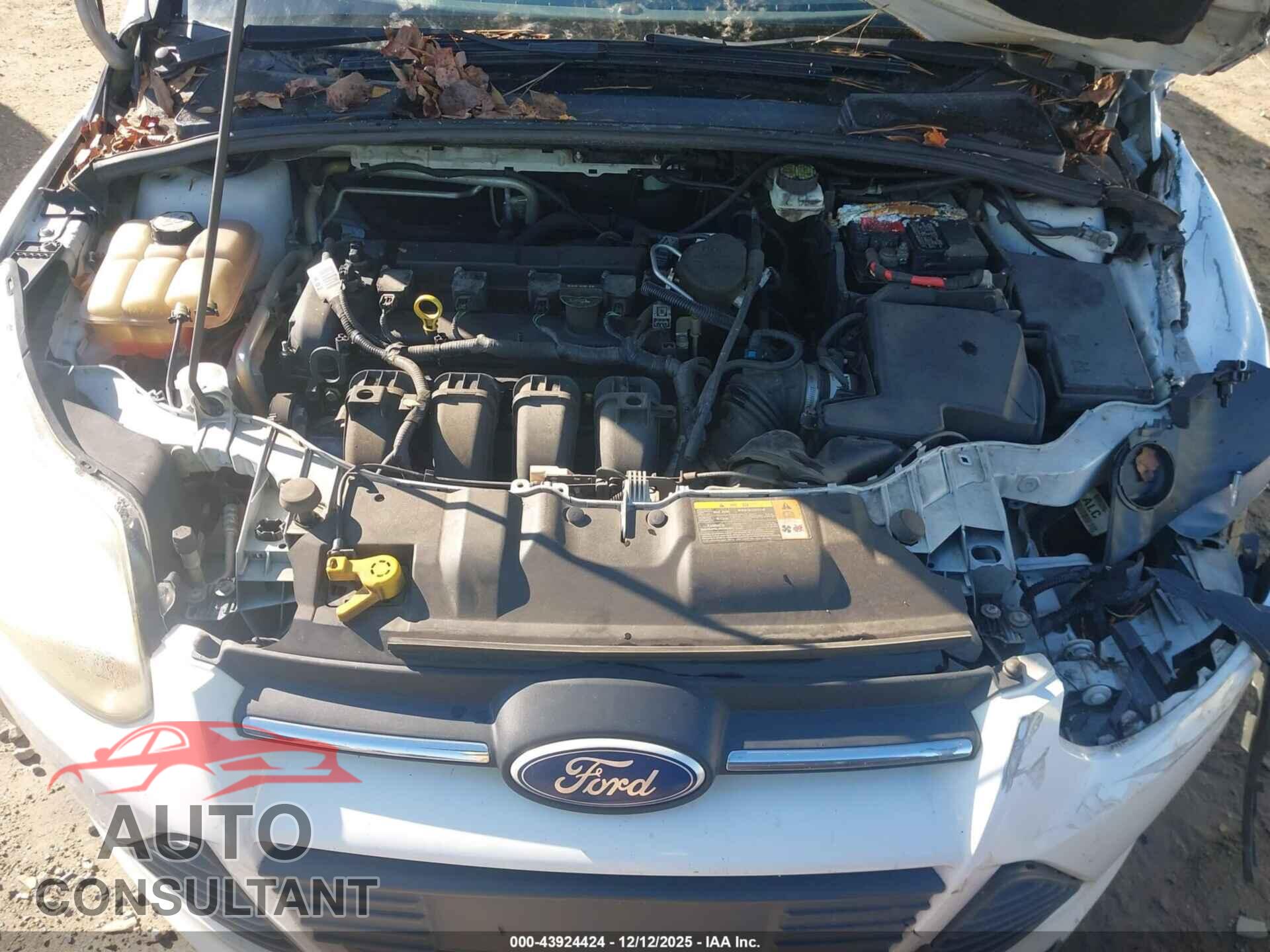 FORD FOCUS 2012 - 1FAHP3F23CL132073