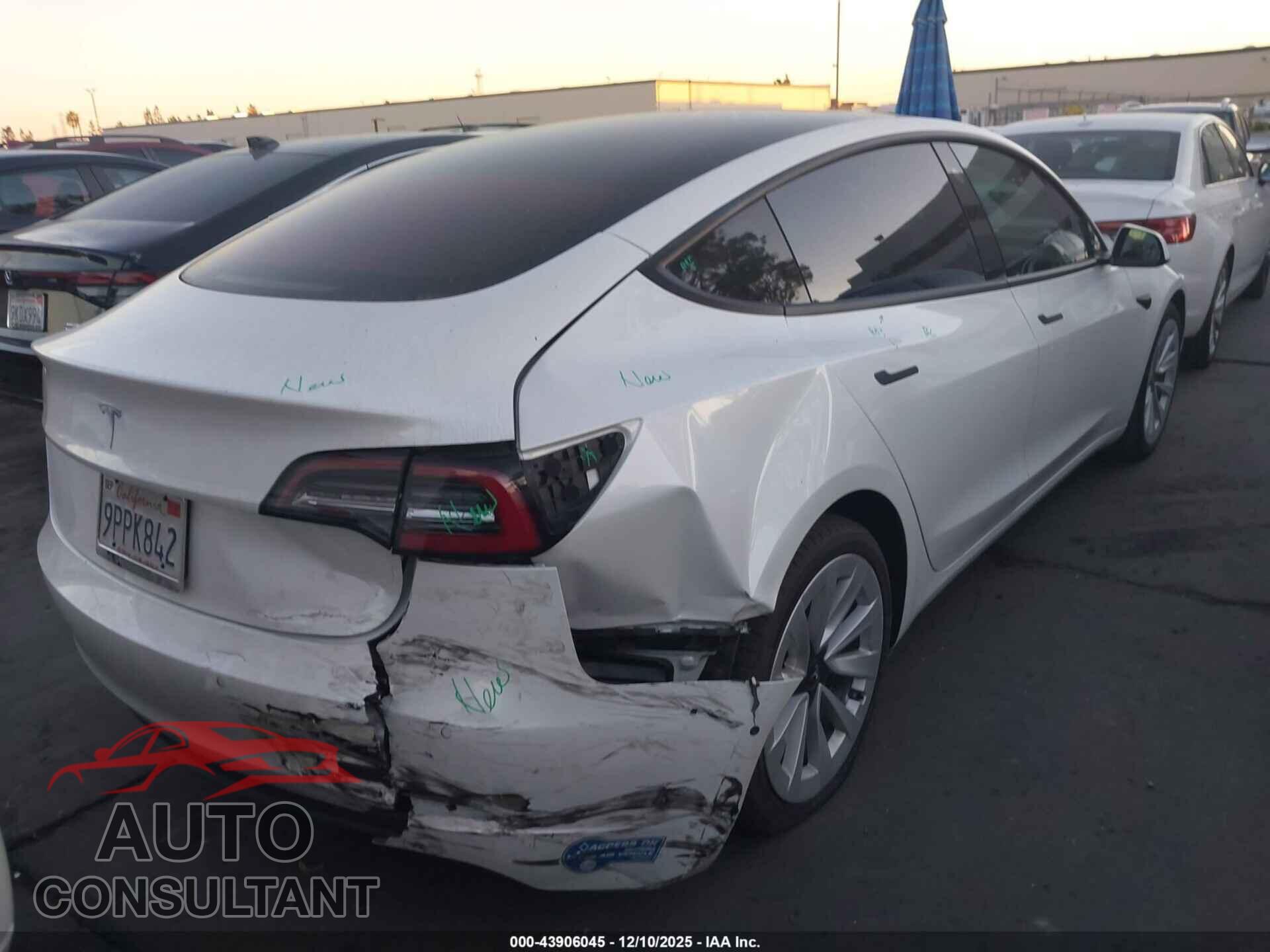 TESLA MODEL 3 2021 - 5YJ3E1EA1MF065954