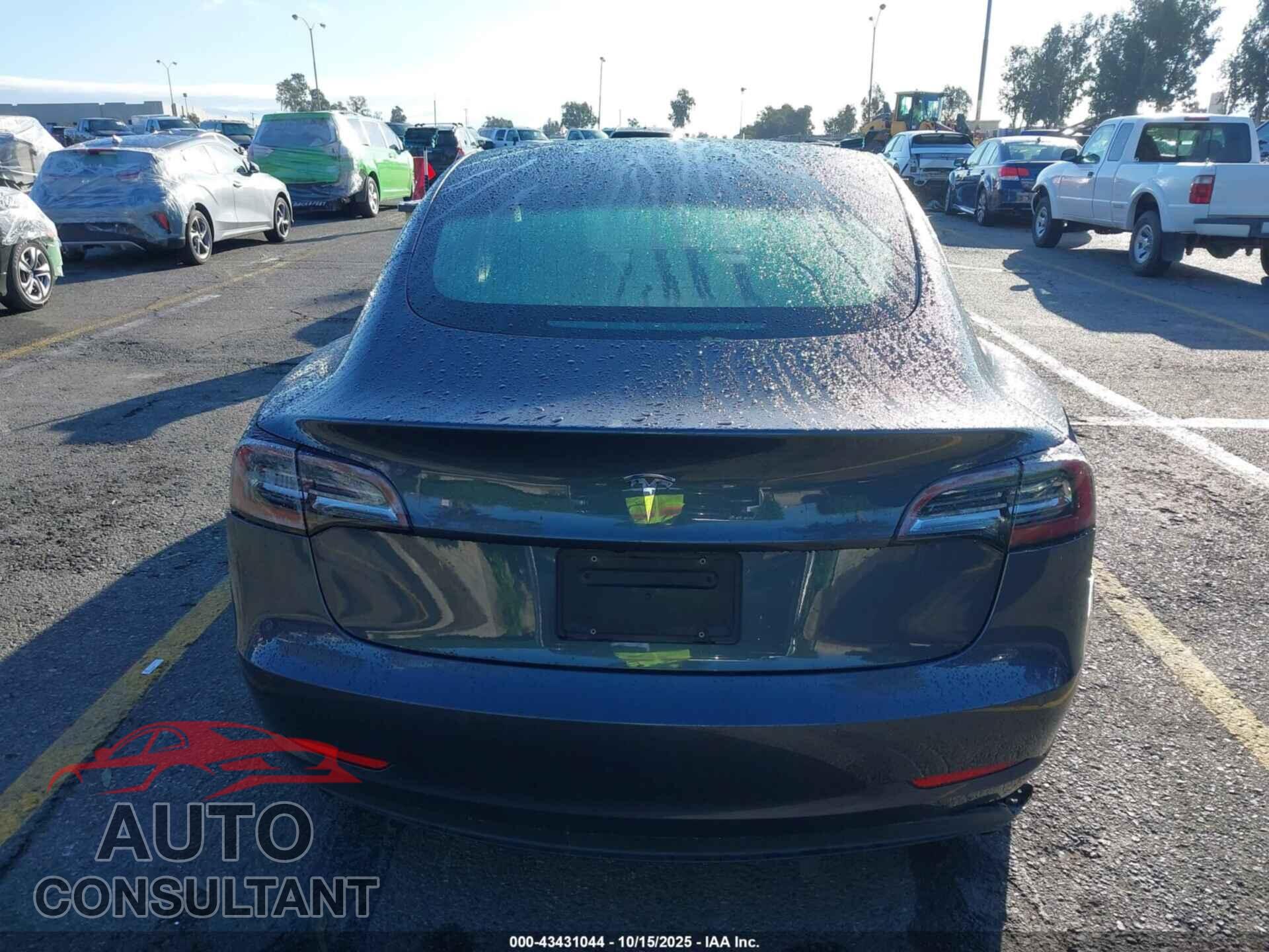 TESLA MODEL 3 2019 - 5YJ3E1EA8KF311055