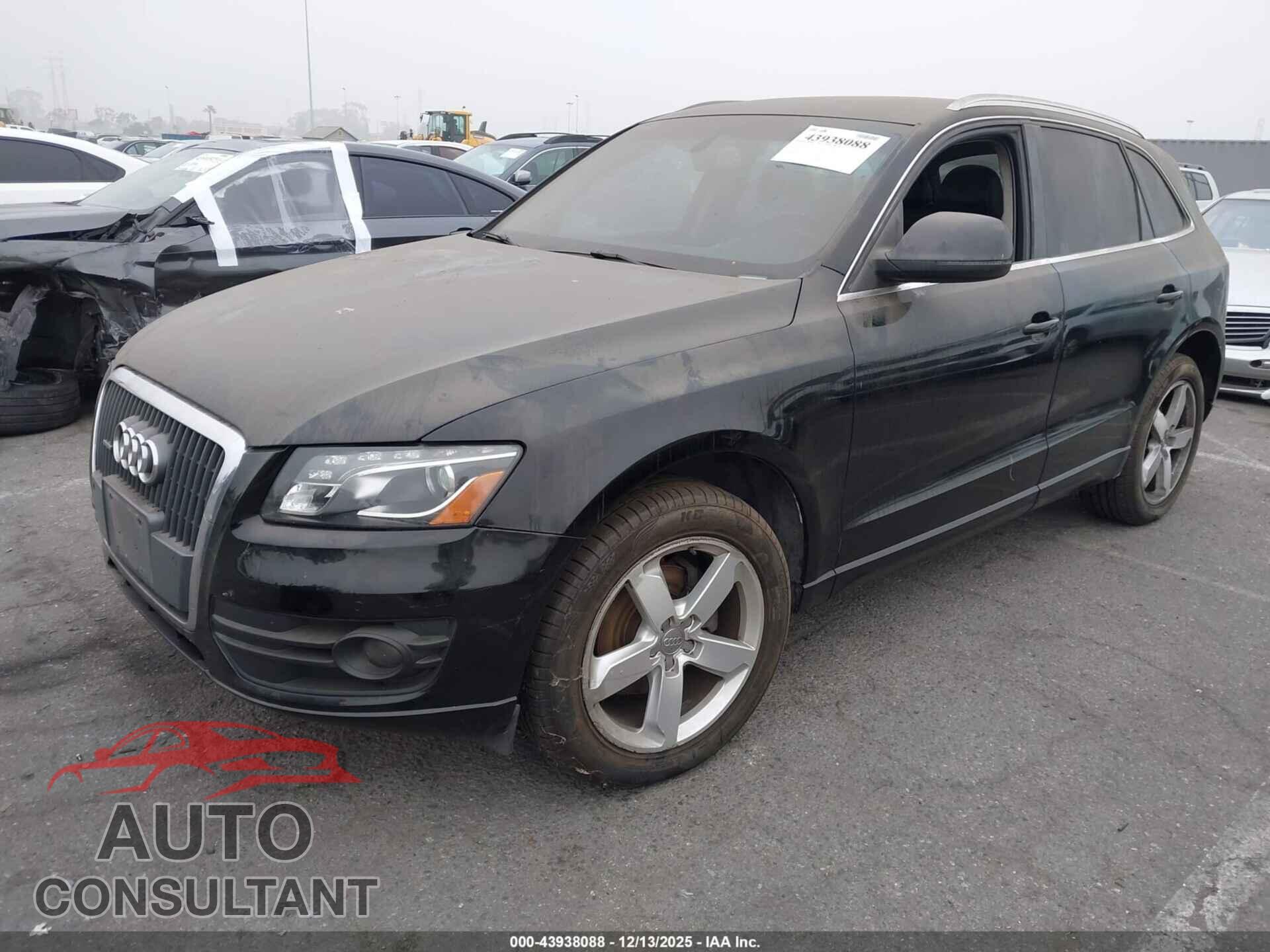 AUDI Q5 2011 - WA1LFAFP3BA112370
