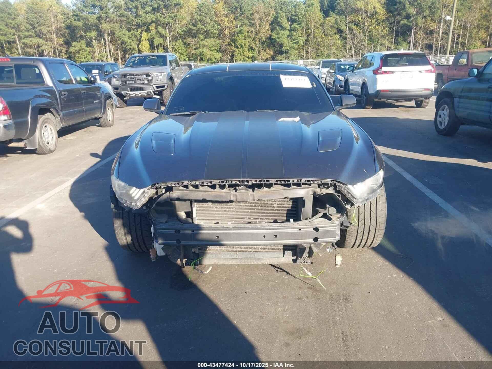 FORD MUSTANG 2017 - 1FA6P8CF8H5330848