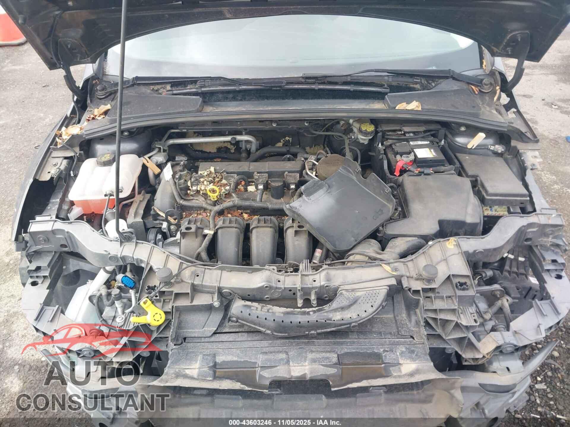 FORD FOCUS 2016 - 1FADP3F26GL227411