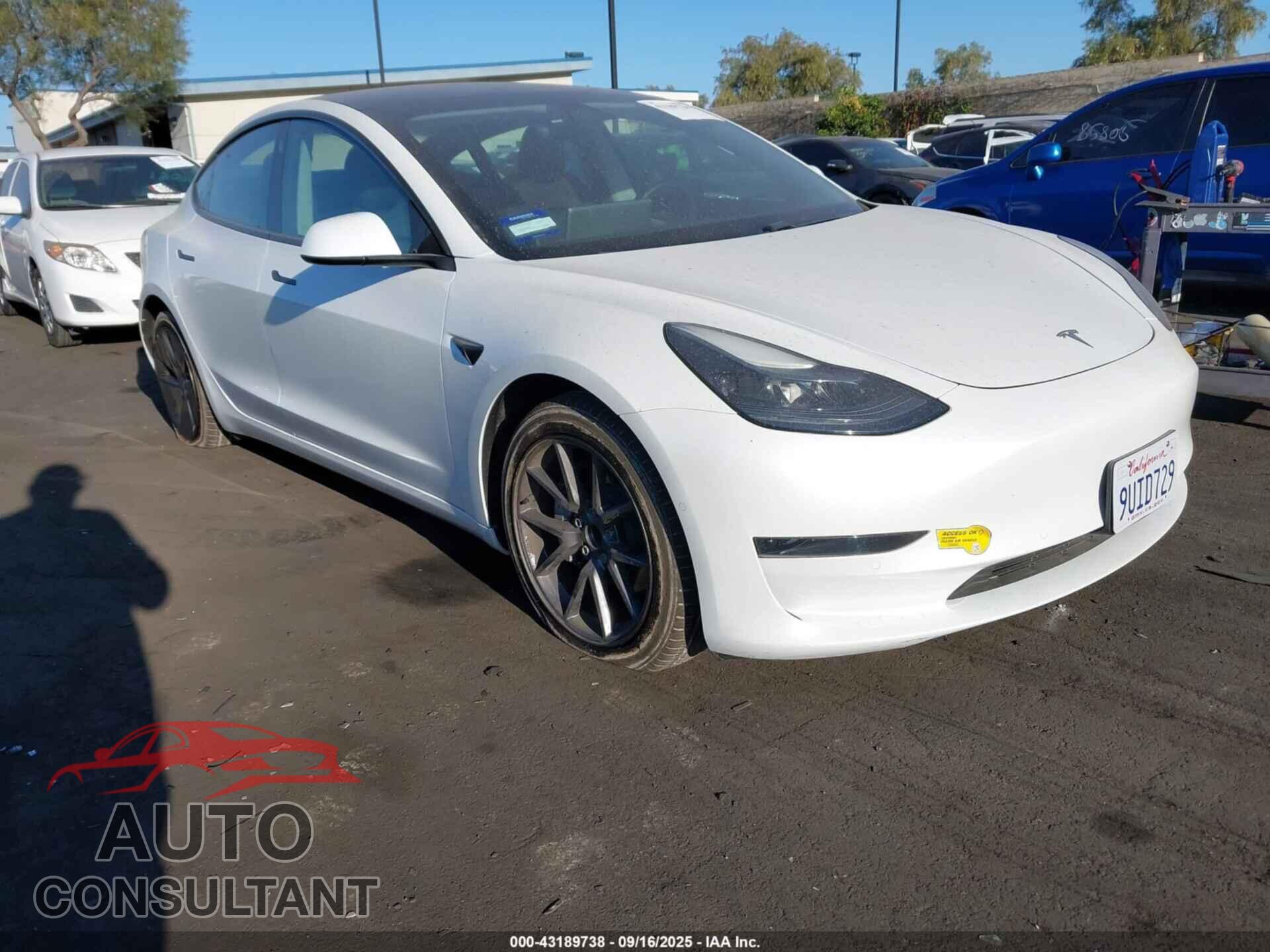 TESLA MODEL 3 2021 - 5YJ3E1EA2MF066370