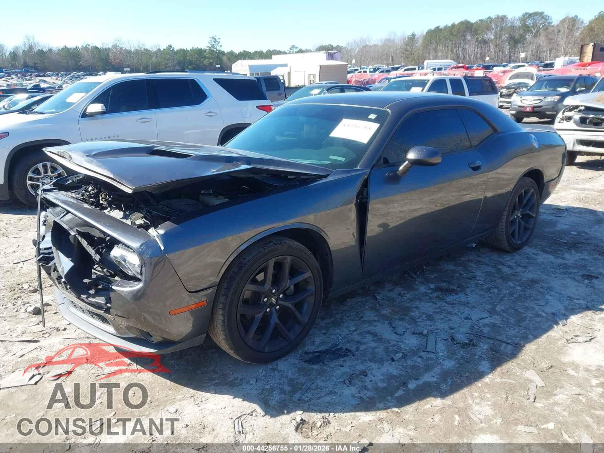 DODGE CHALLENGER 2019 - 2C3CDZAG5KH719622