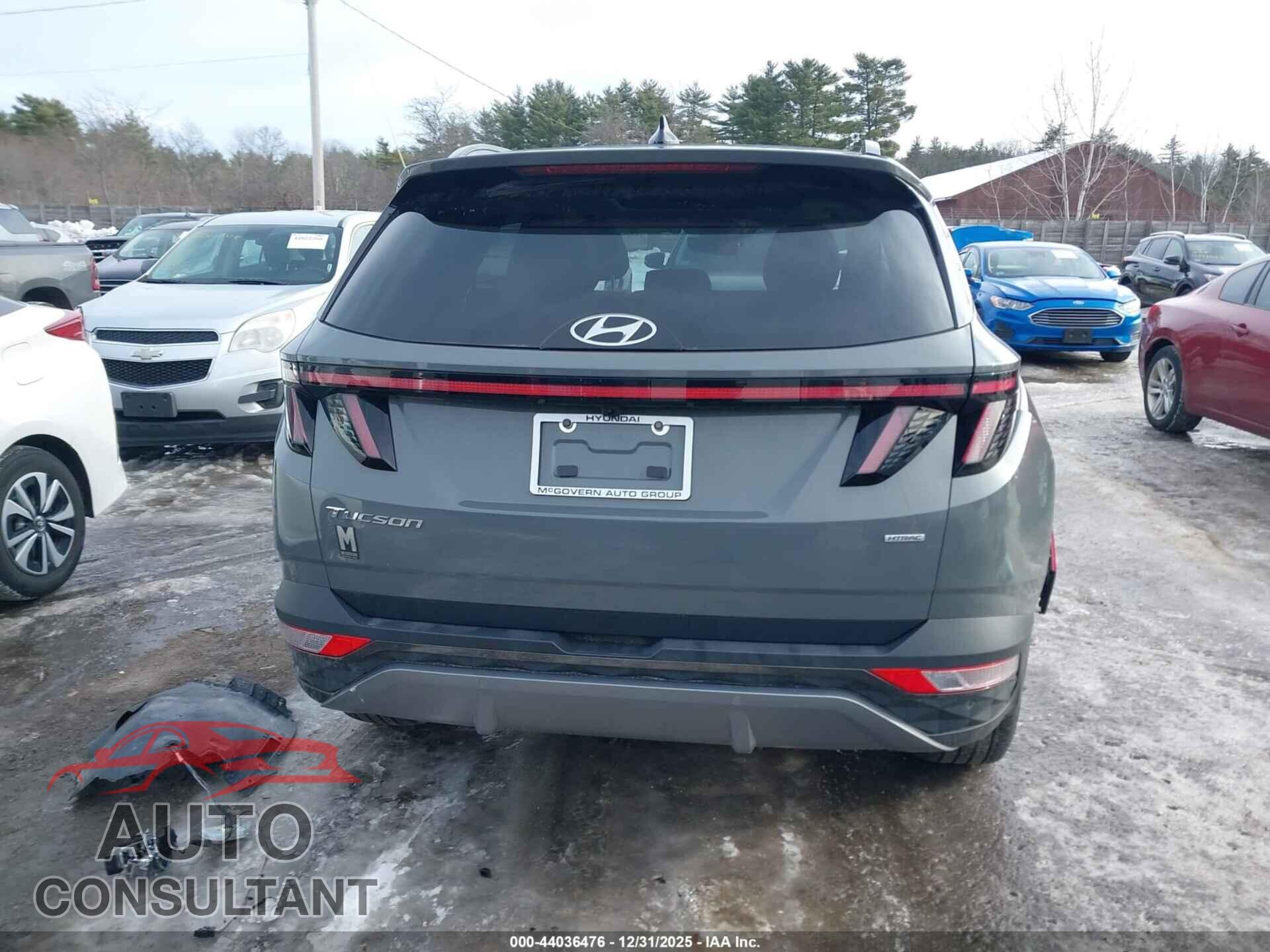 HYUNDAI TUCSON 2024 - 5NMJECDE8RH395491