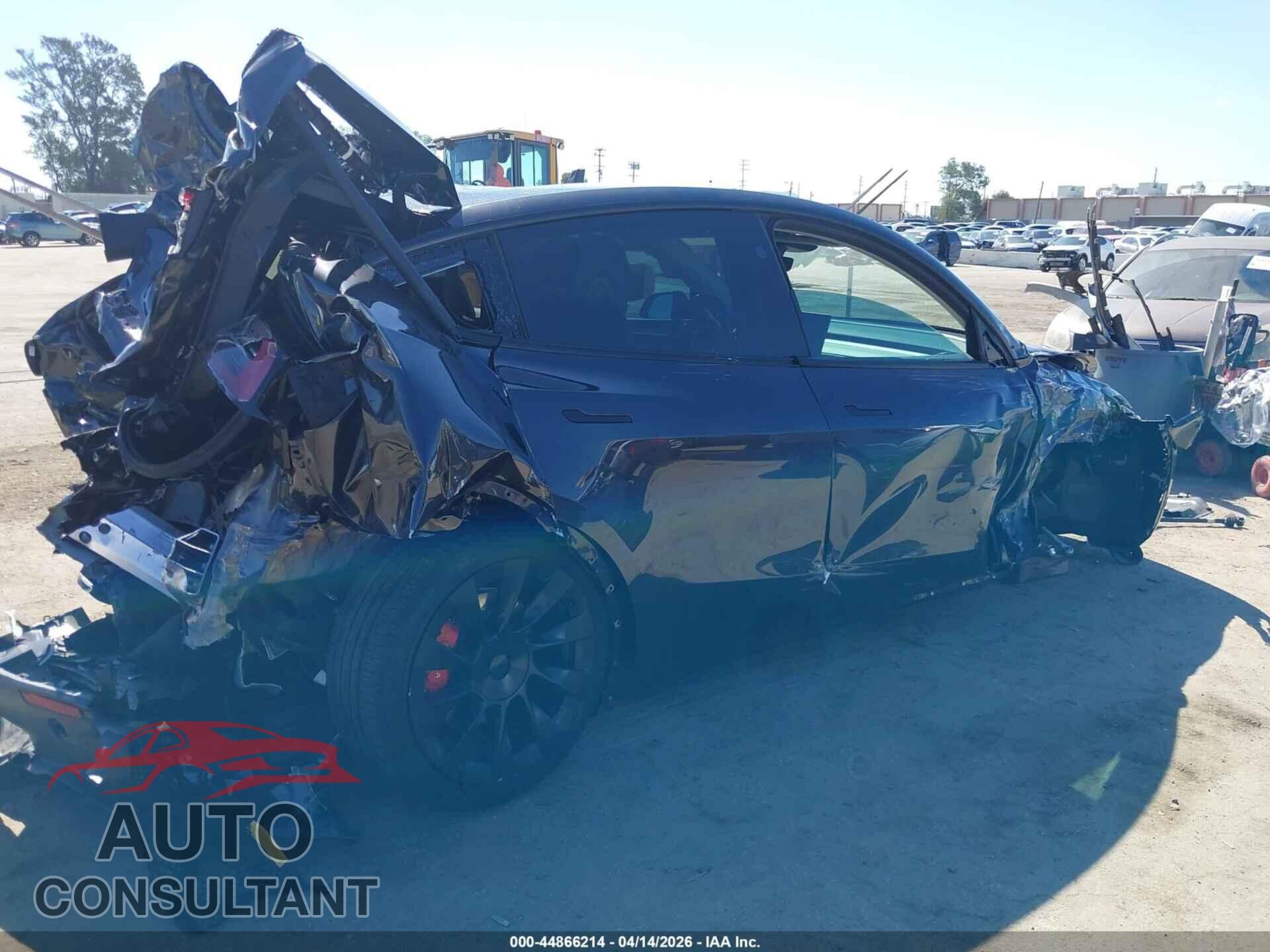 TESLA MODEL Y 2024 - 7SAYGAEE2RF131764