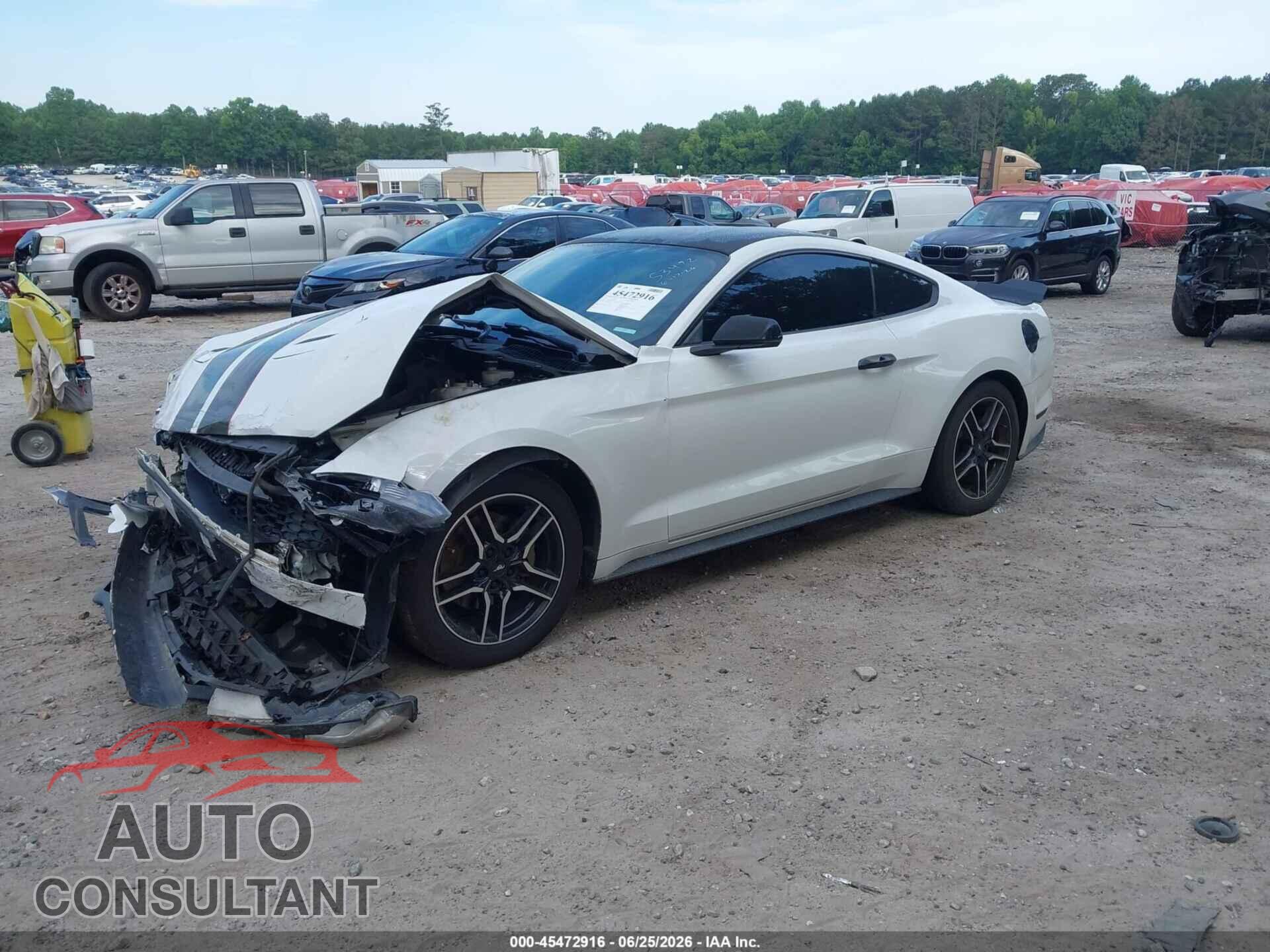 FORD MUSTANG 2019 - 1FA6P8TH4K5151697