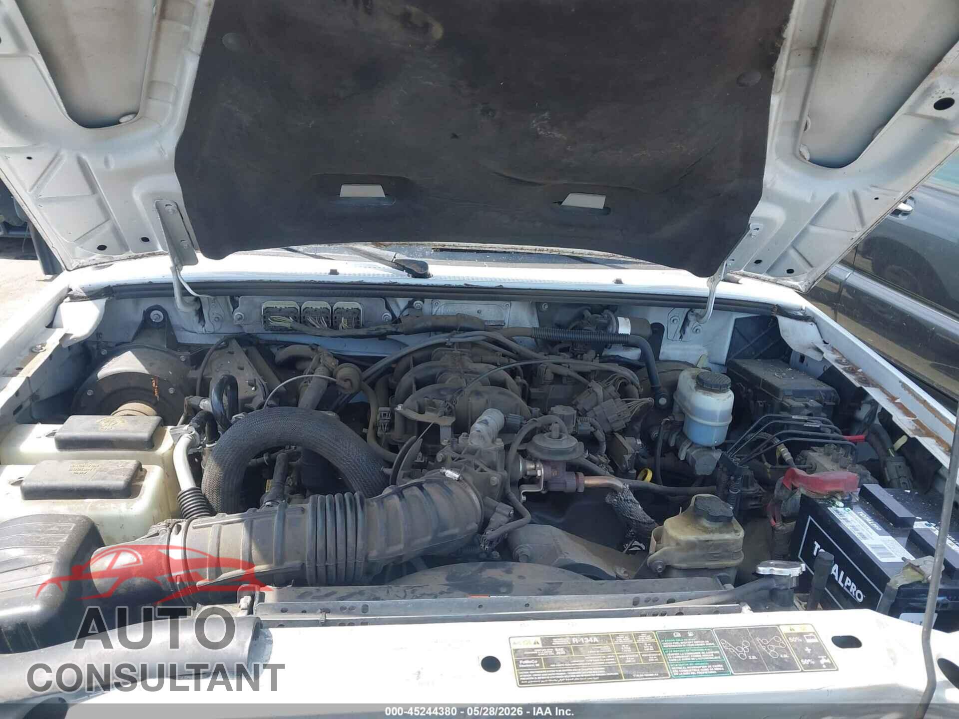 FORD RANGER 2010 - 1FTLR1EE9APA06515