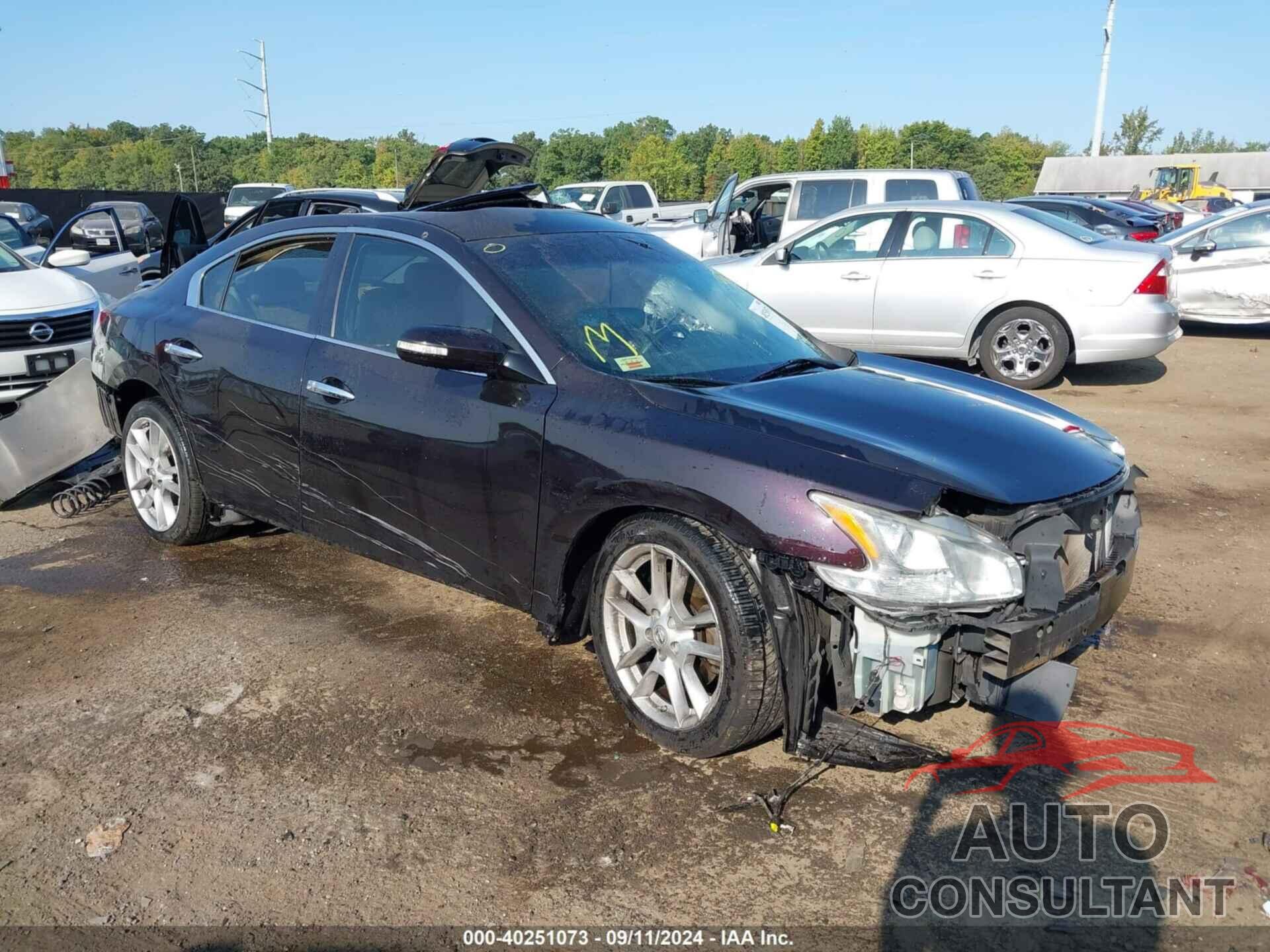 NISSAN MAXIMA 2010 - 1N4AA5AP8AC810508