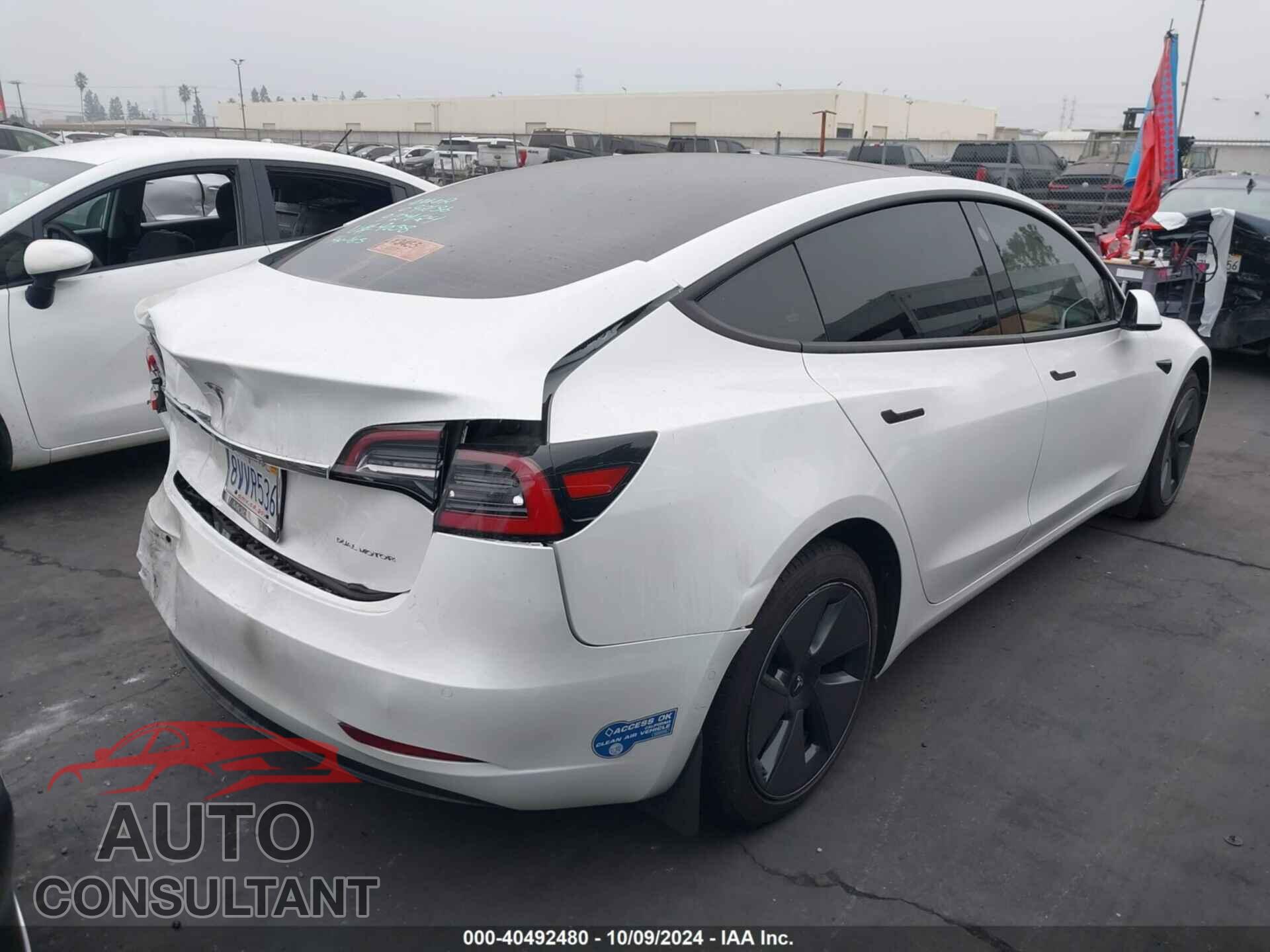 TESLA MODEL 3 2021 - 5YJ3E1EB9MF939038