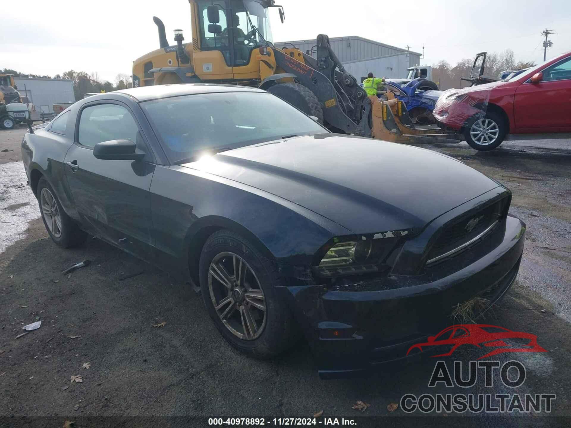 FORD MUSTANG 2013 - 1ZVBP8AMXD5277507