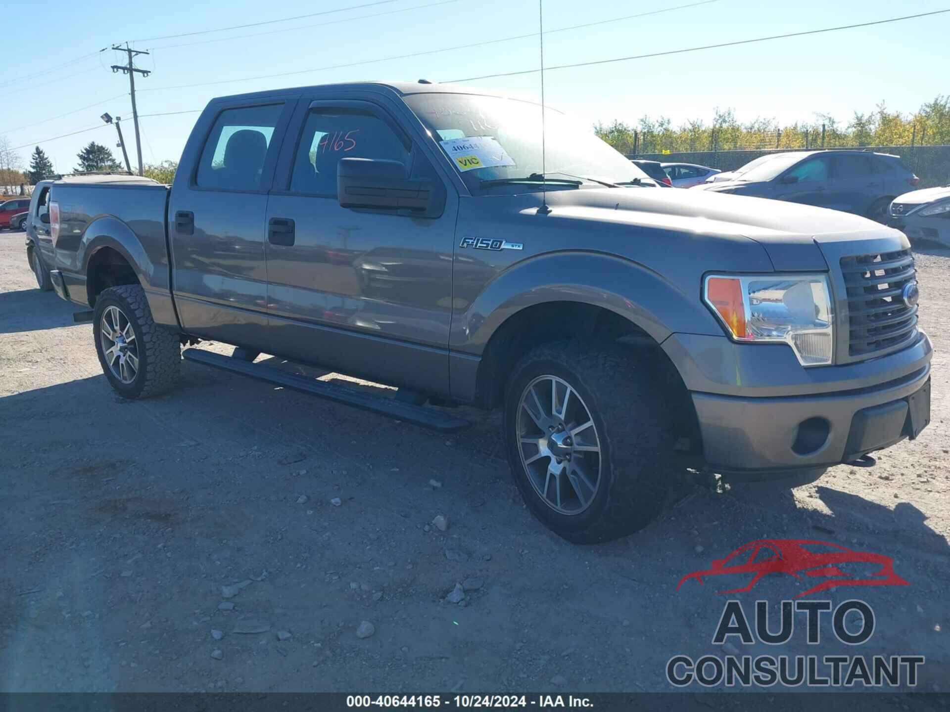 FORD F-150 2014 - 1FTFW1EF4EFA08618