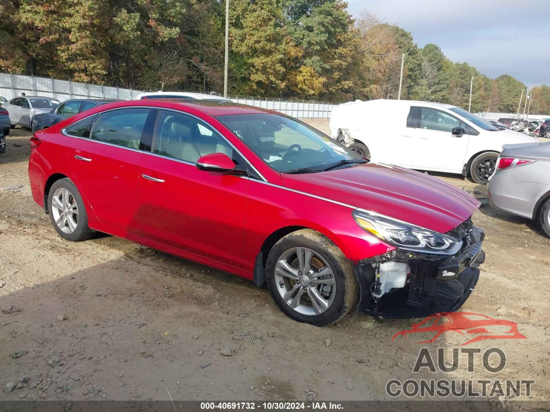 HYUNDAI SONATA 2019 - 5NPE34AF5KH785385