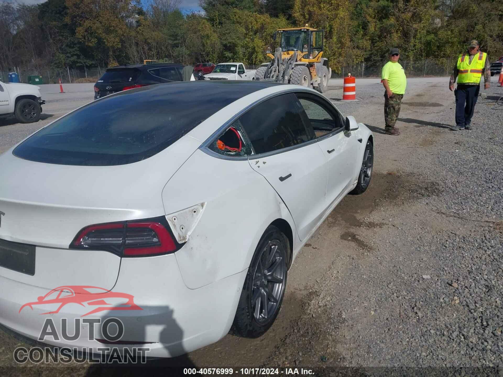 TESLA MODEL 3 2019 - 5YJ3E1EA9KF401542