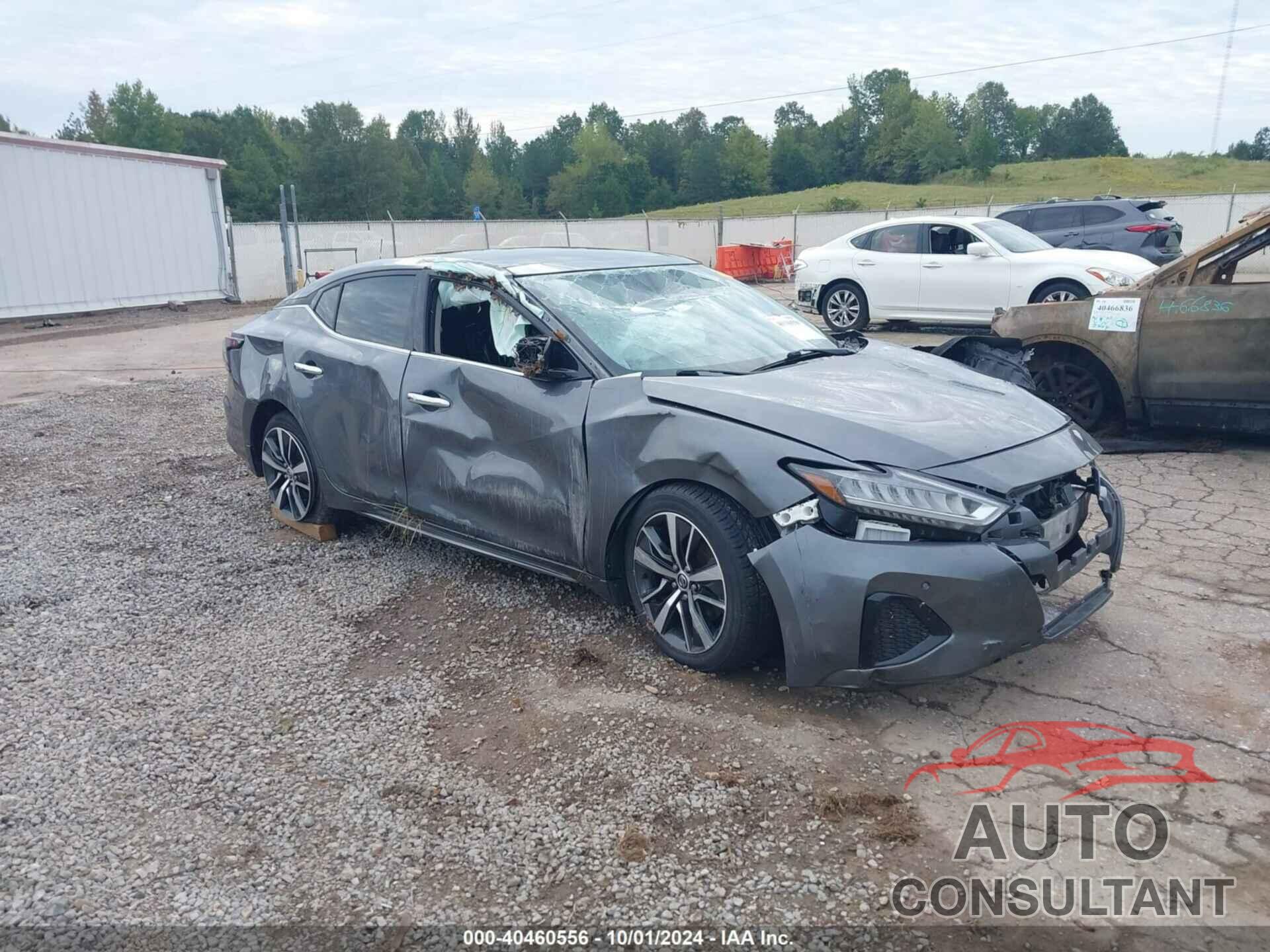 NISSAN MAXIMA 2019 - 1N4AA6AV4KC373323