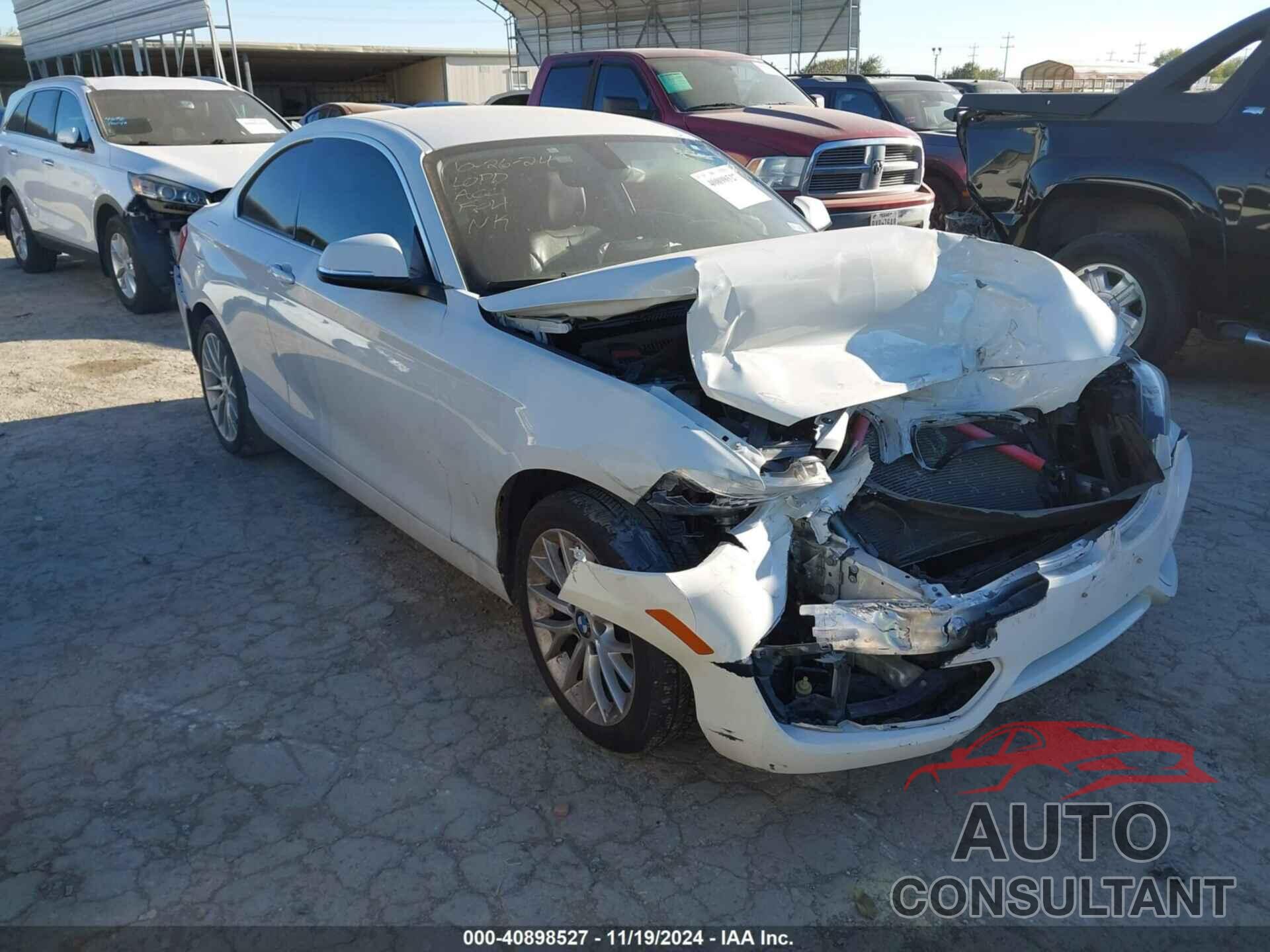 BMW 228I 2015 - WBA1F5C53FV257086
