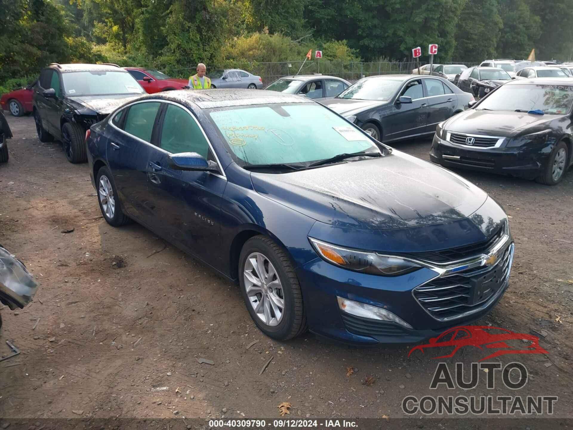 CHEVROLET MALIBU 2019 - 1G1ZD5ST3KF167977
