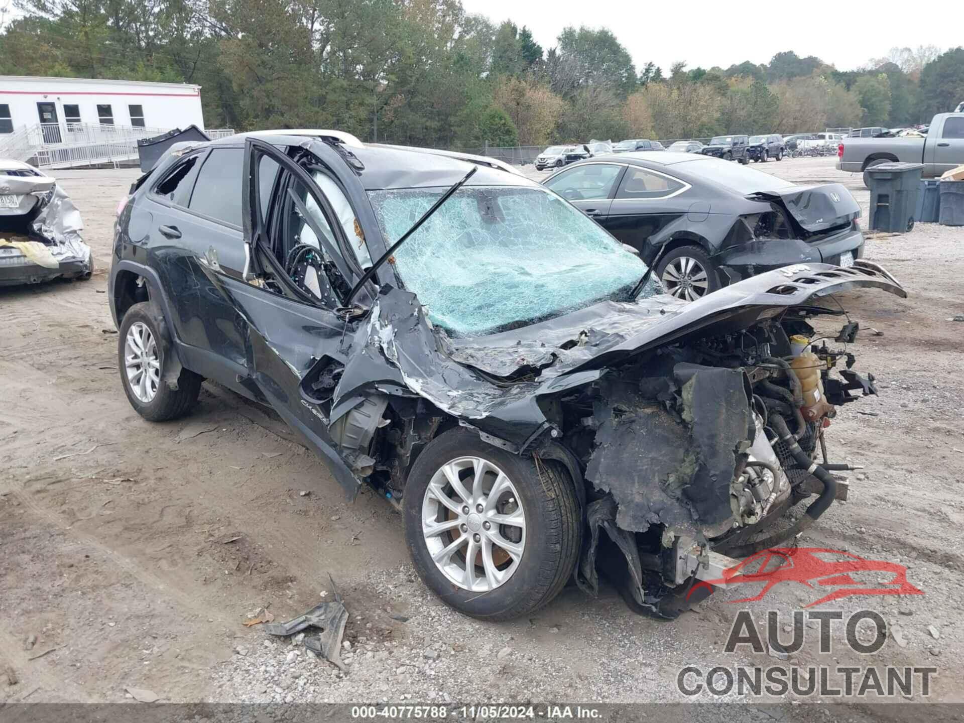 JEEP CHEROKEE 2020 - 1C4PJLCB2LD586451