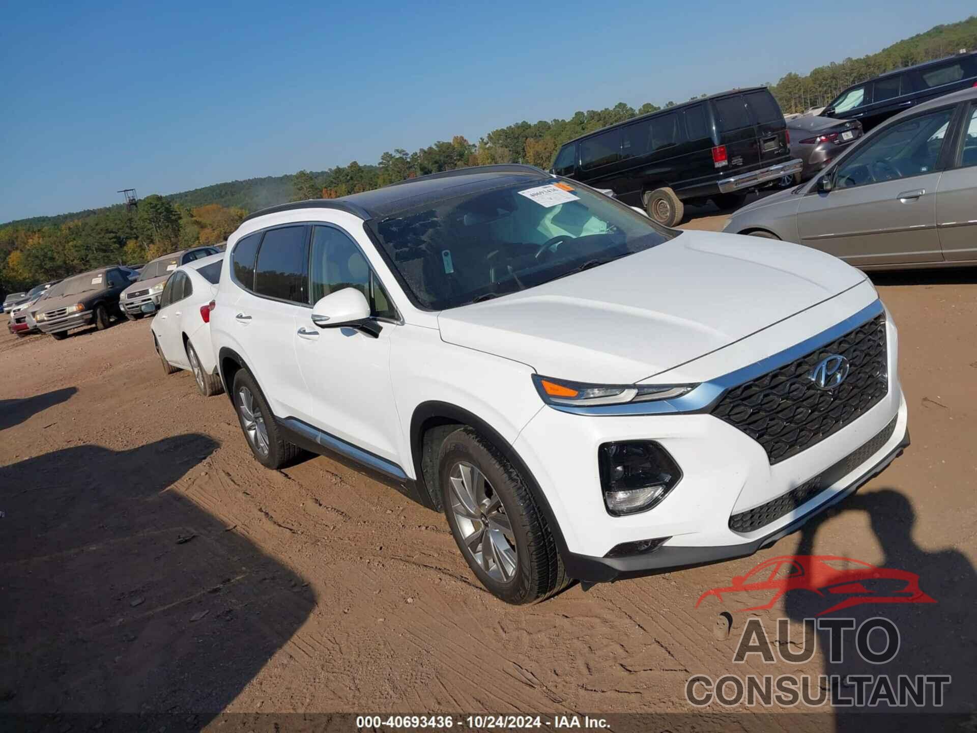 HYUNDAI SANTA FE 2019 - 5NMS53AD5KH131361