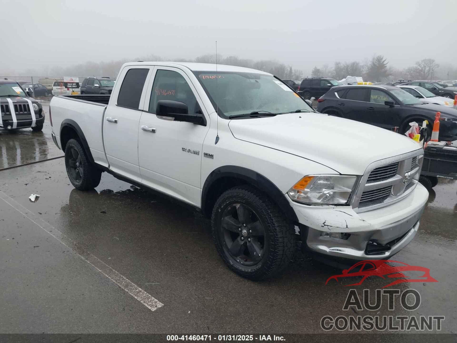 DODGE RAM 1500 2010 - 1D7RV1GT2AS231749