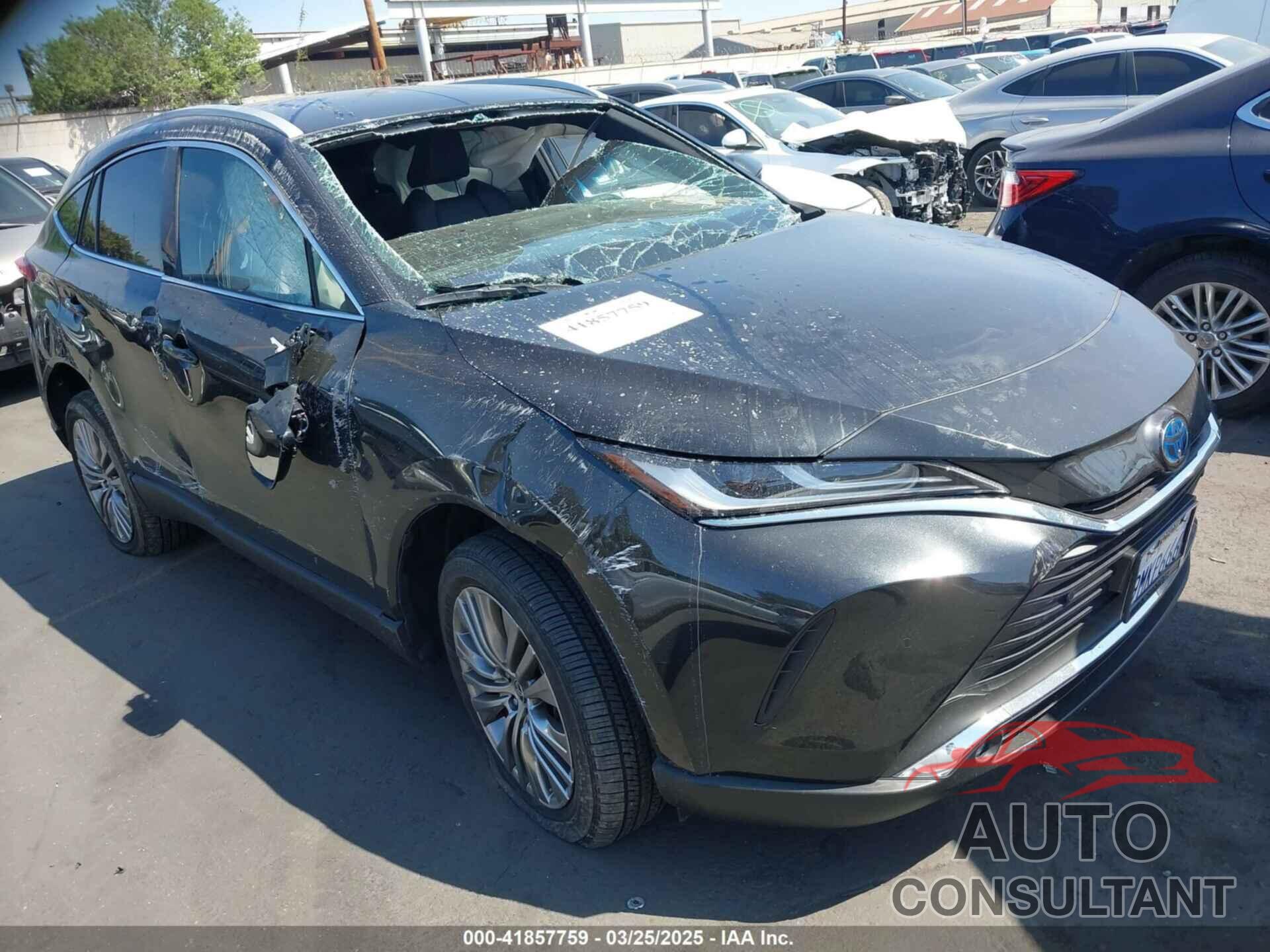 TOYOTA VENZA 2024 - JTEAAAAH7RJ175408
