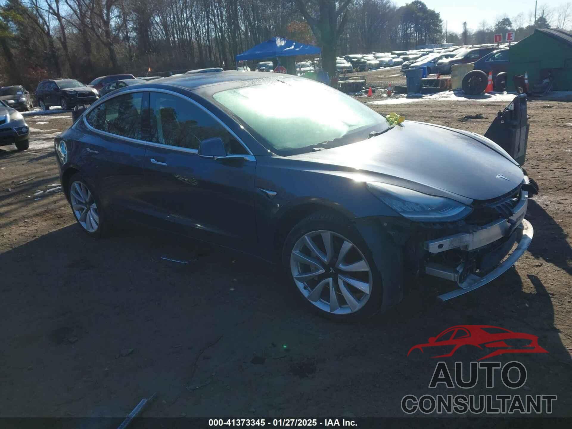 TESLA MODEL 3 2019 - 5YJ3E1EB0KF389483