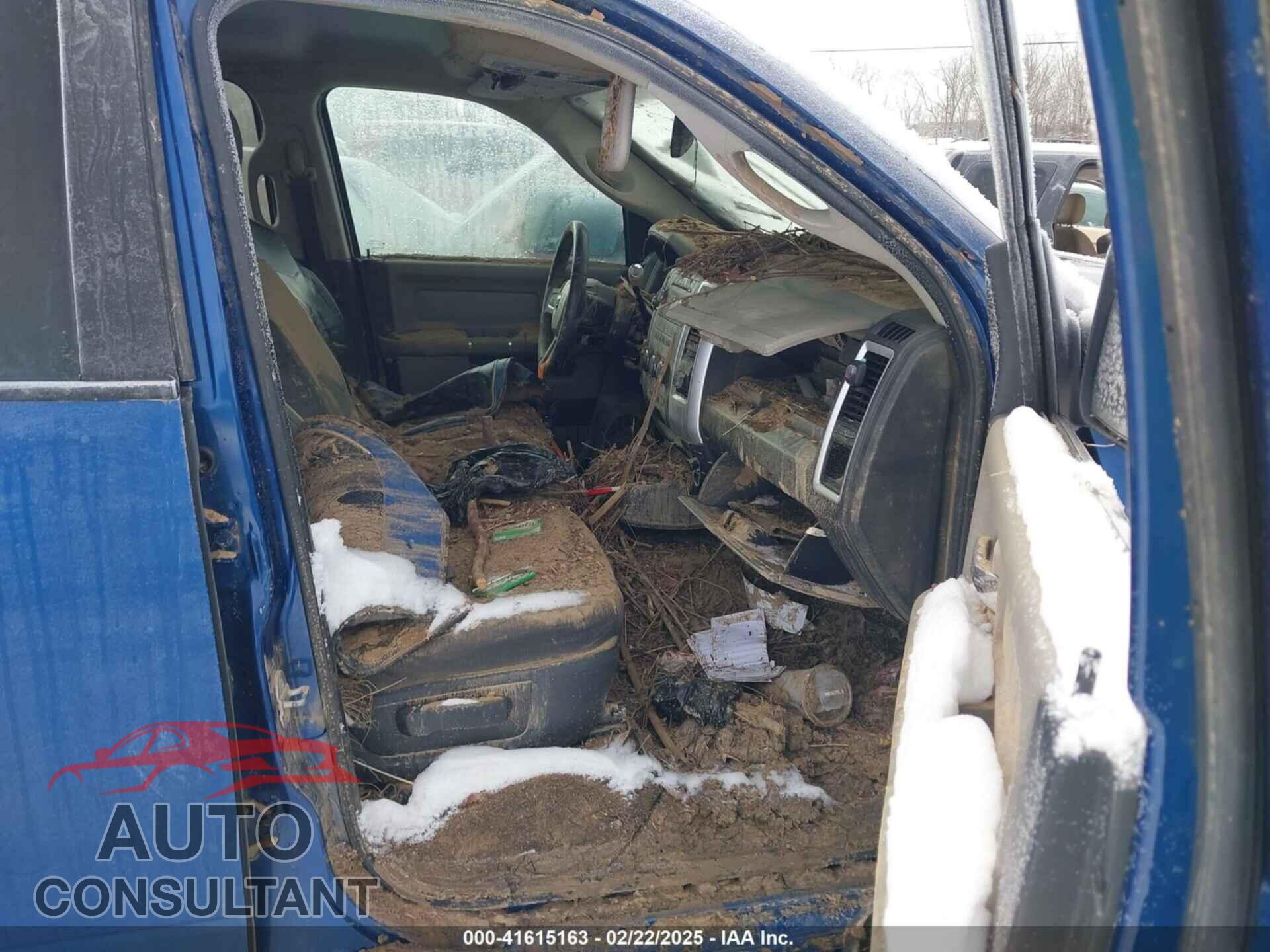 DODGE RAM 1500 2010 - 1D7RV1GT2AS123776