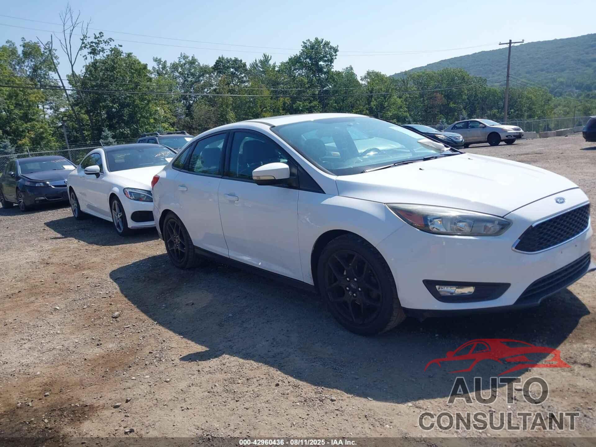 FORD FOCUS 2016 - 1FADP3F24GL349961