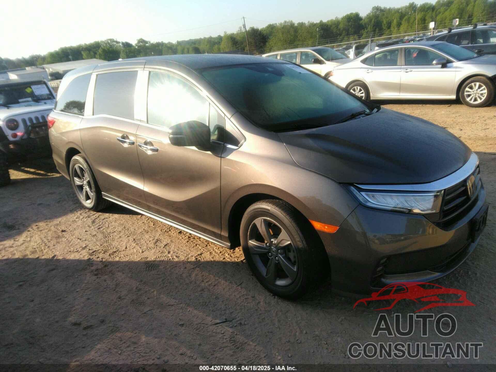 HONDA ODYSSEY 2022 - 5FNRL6H59NB019950