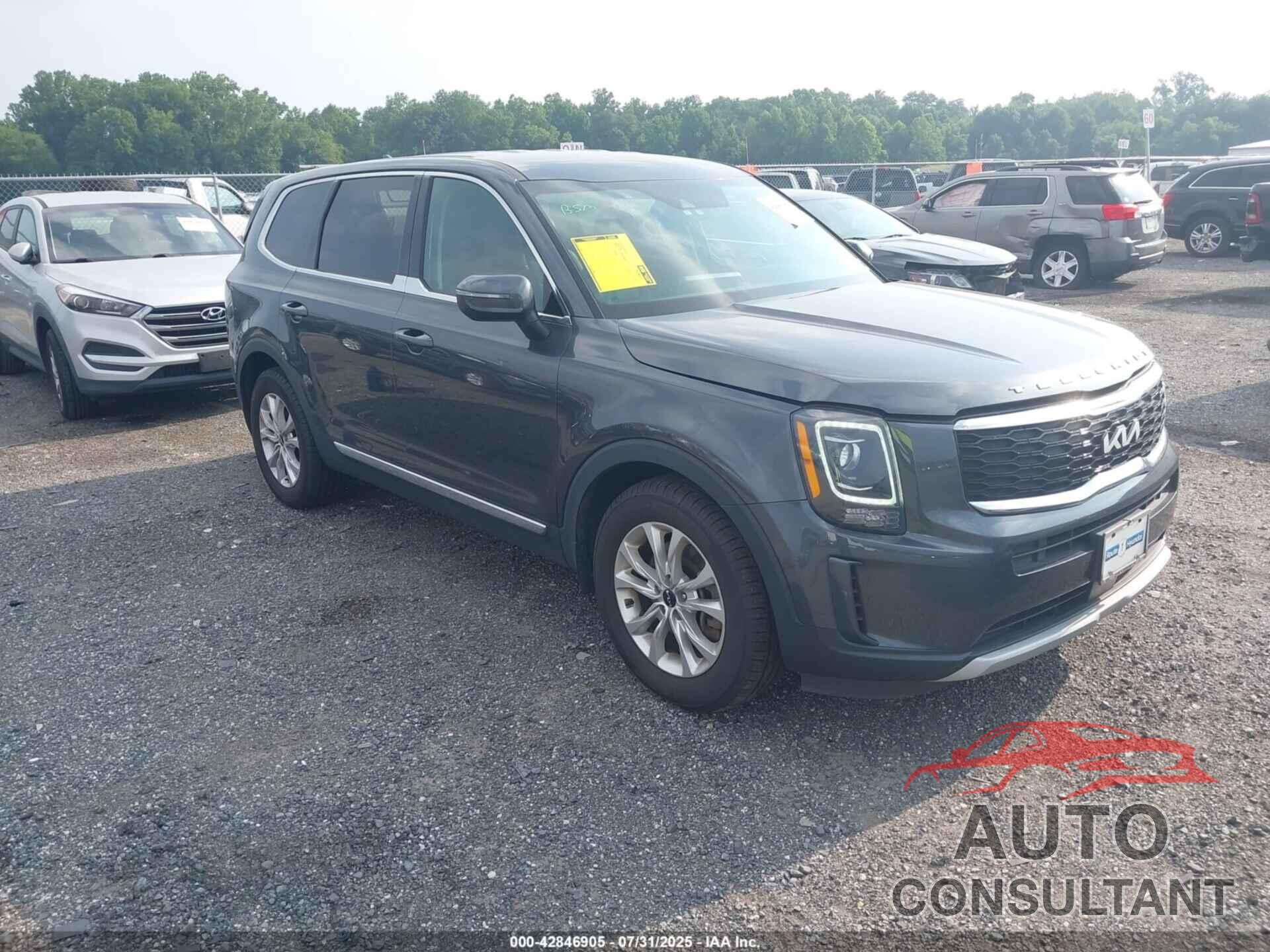 KIA TELLURIDE 2022 - 5XYP2DHC4NG215221