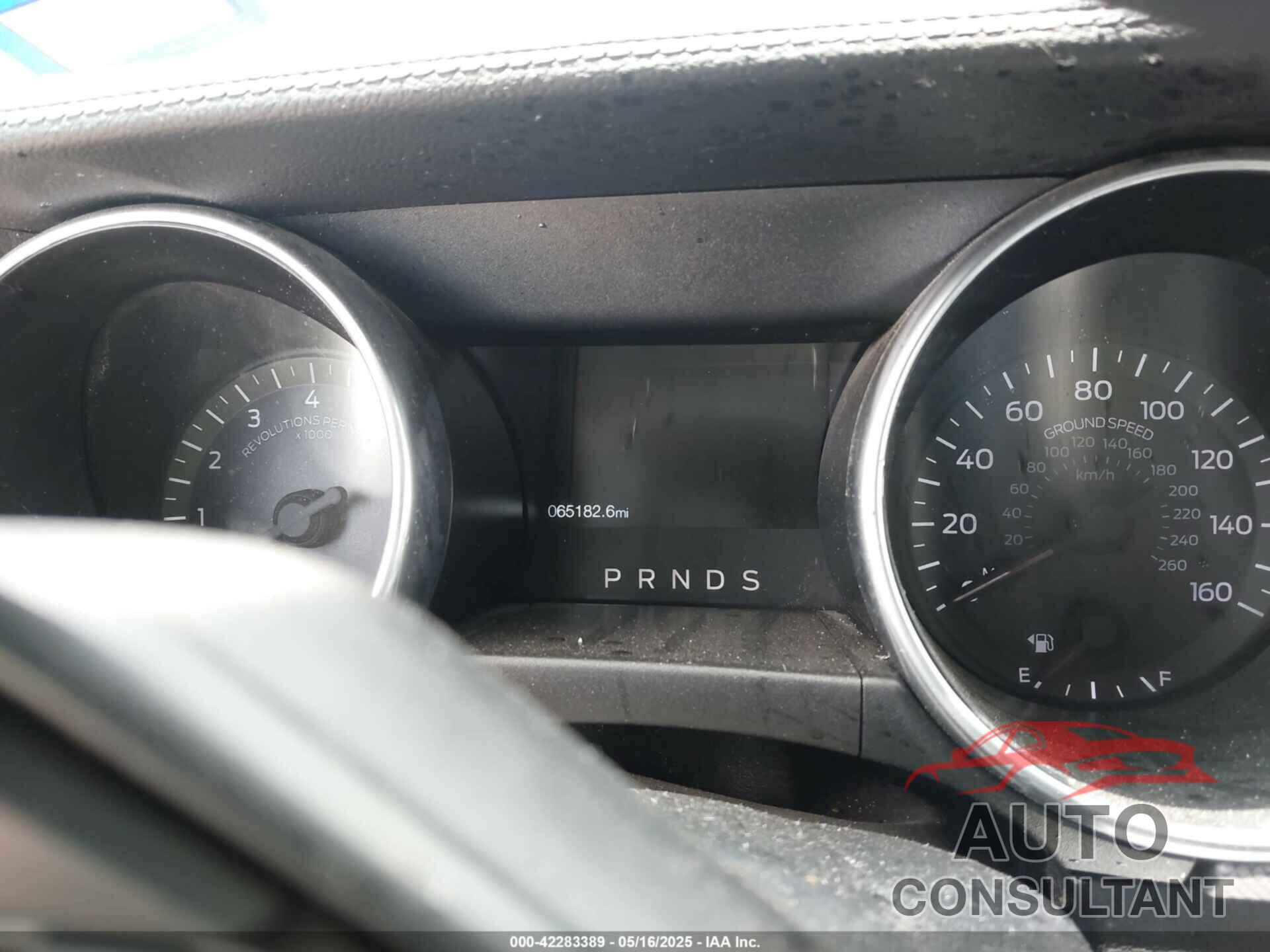 FORD MUSTANG 2019 - 1FA6P8THXK5125833