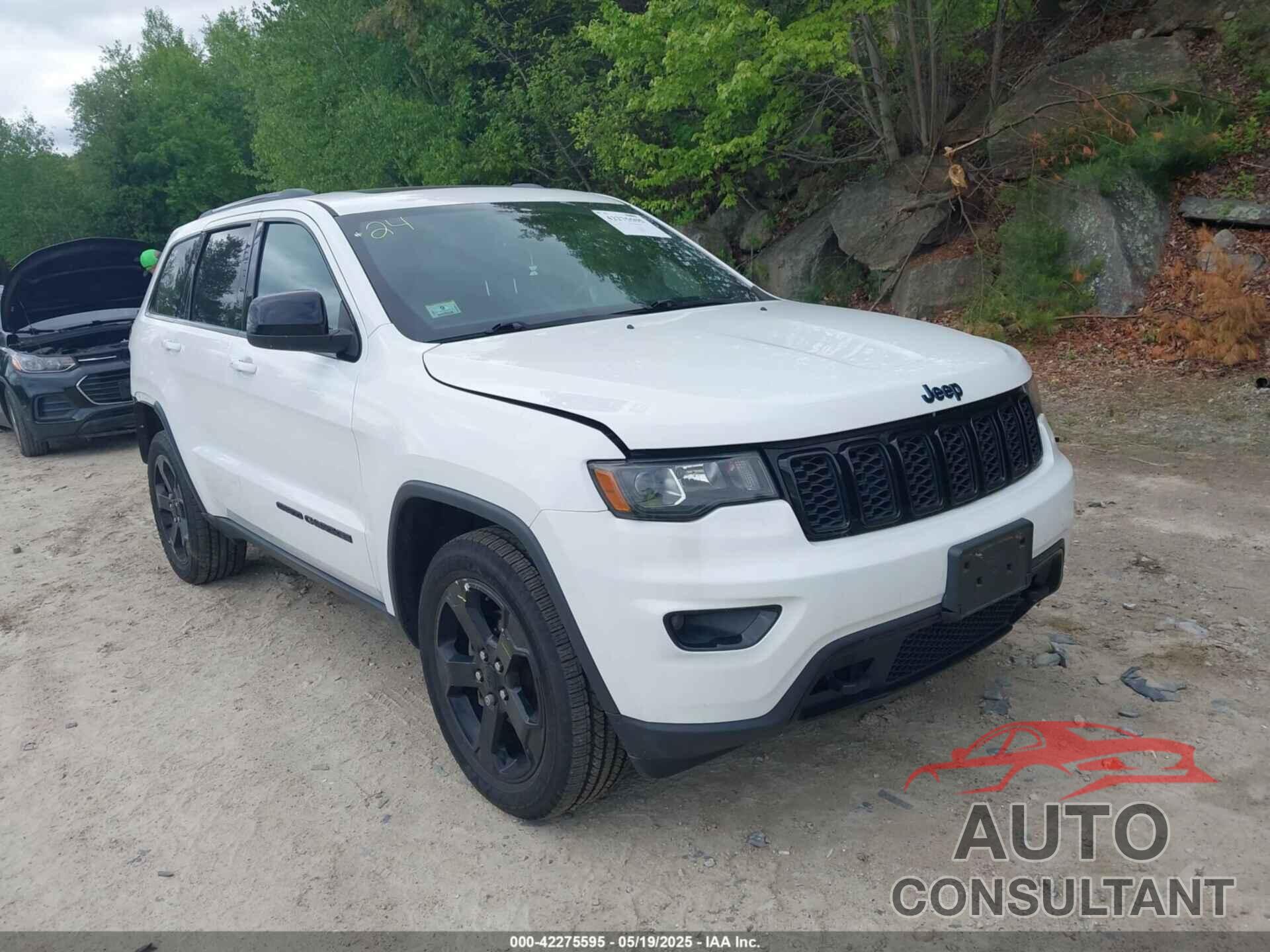 JEEP GRAND CHEROKEE 2019 - 1C4RJFAG8KC620471